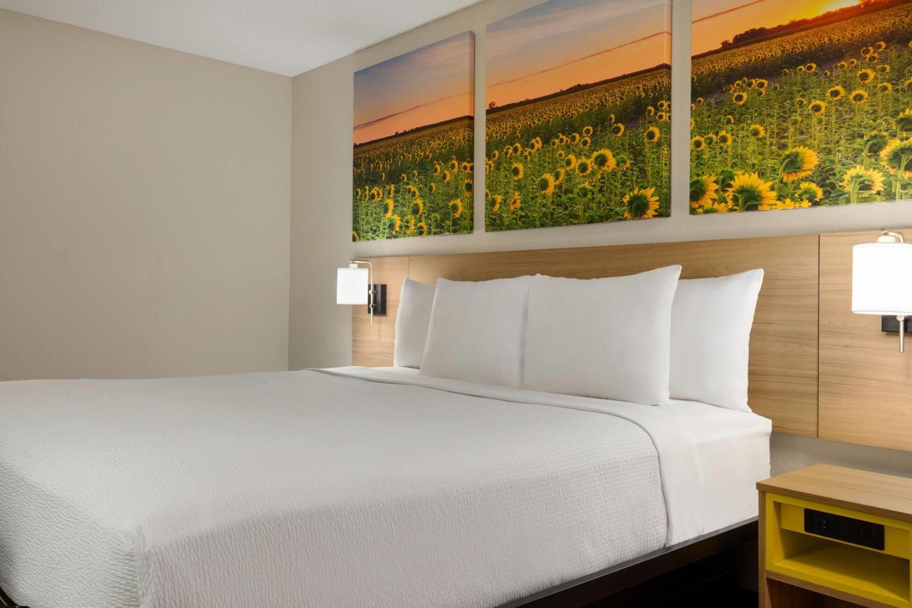 Deluxe King Suite photo 2