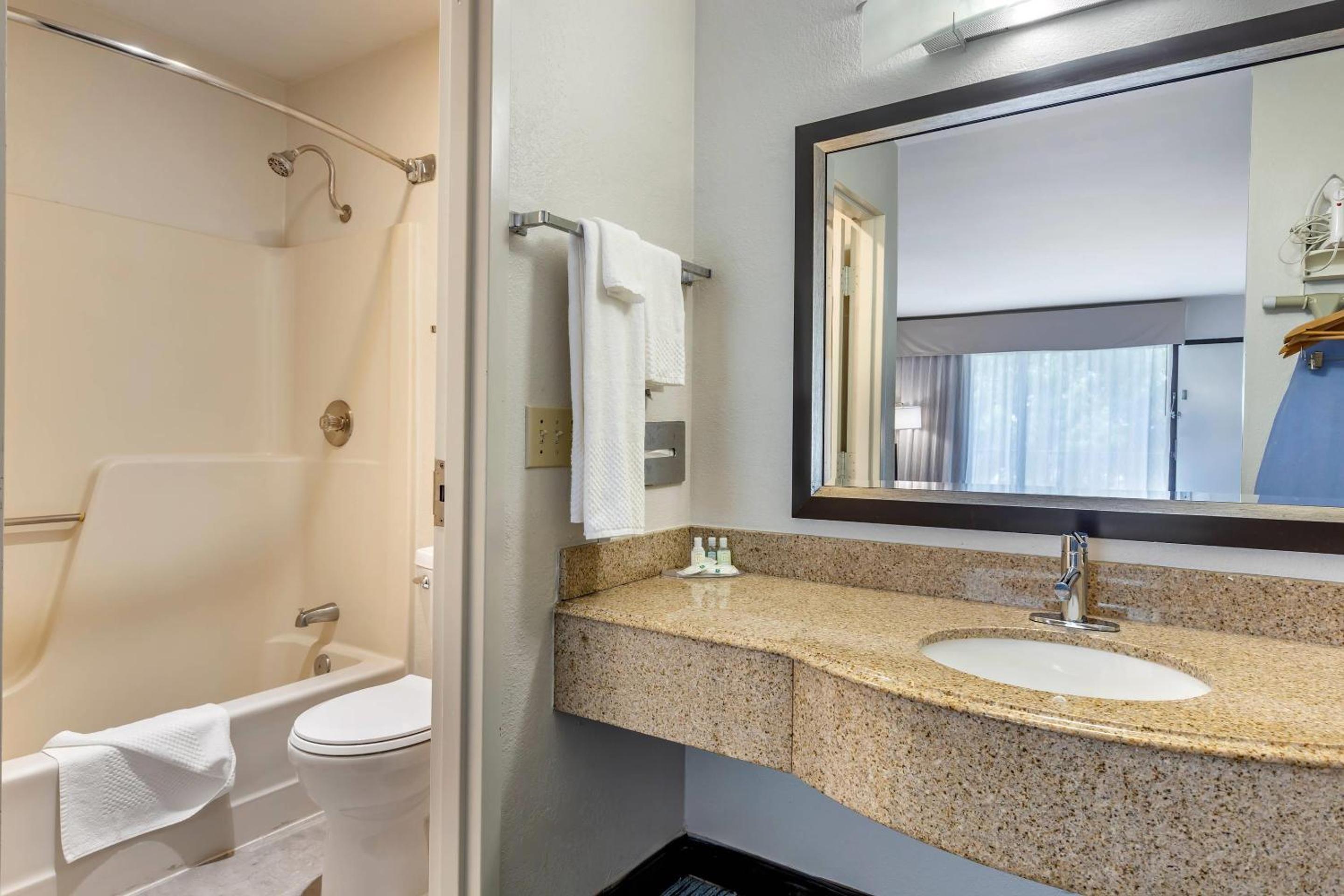 King Room - Pet Friendly/Non-Smoking - Photo 2
