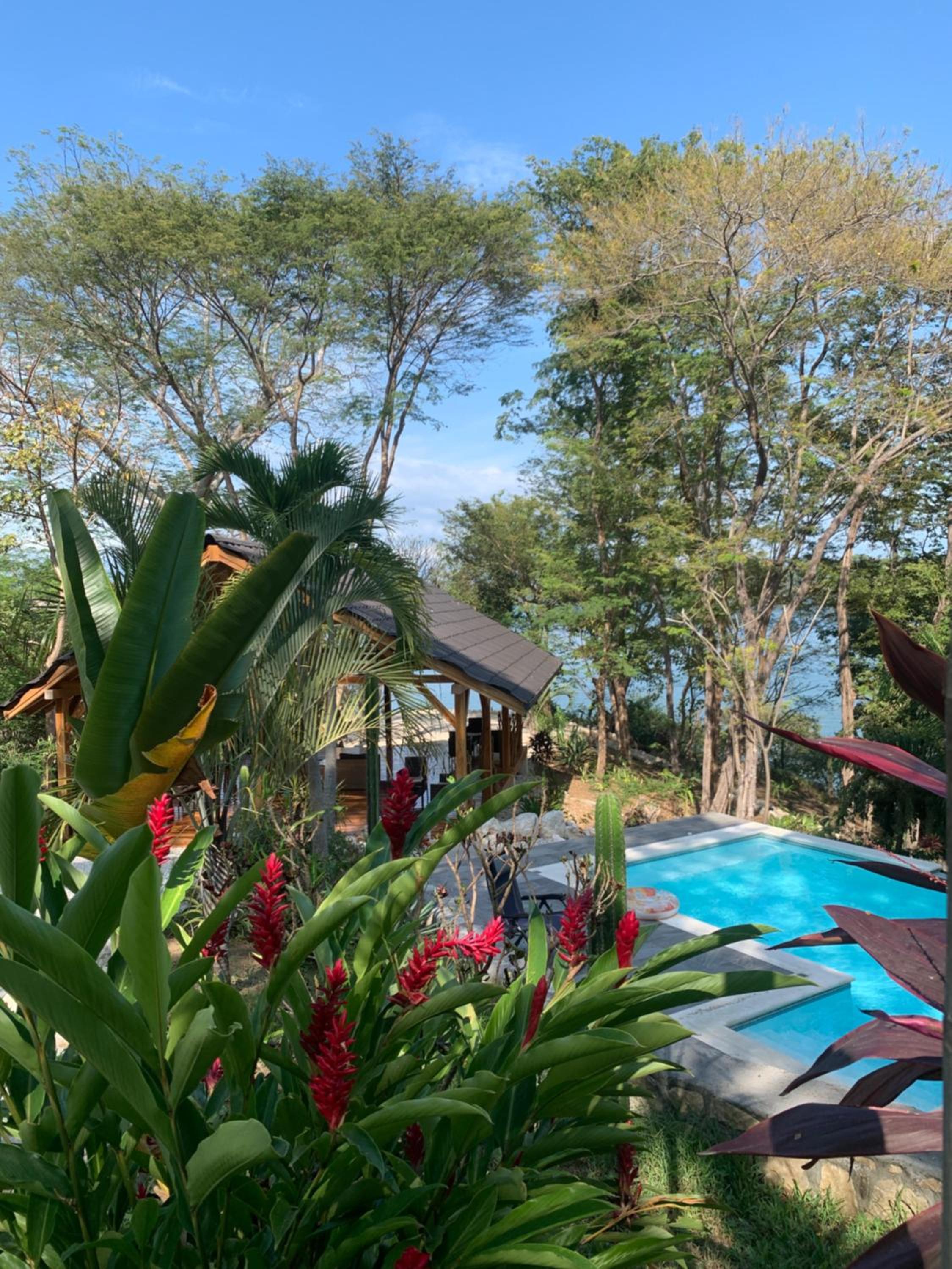 Deluxe Bungalow photo 2