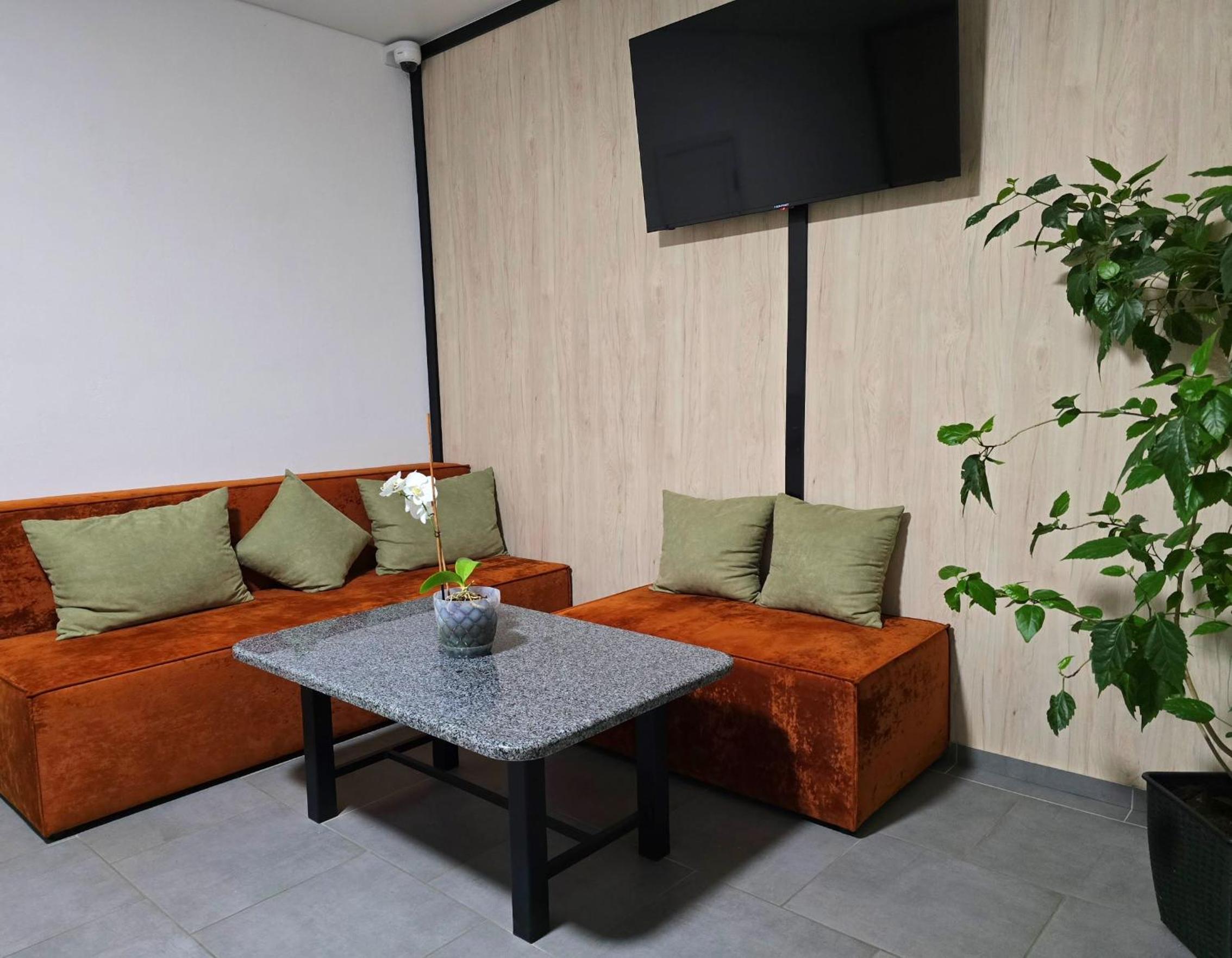 Single Bed in Mixed Dormitory Room photo 3