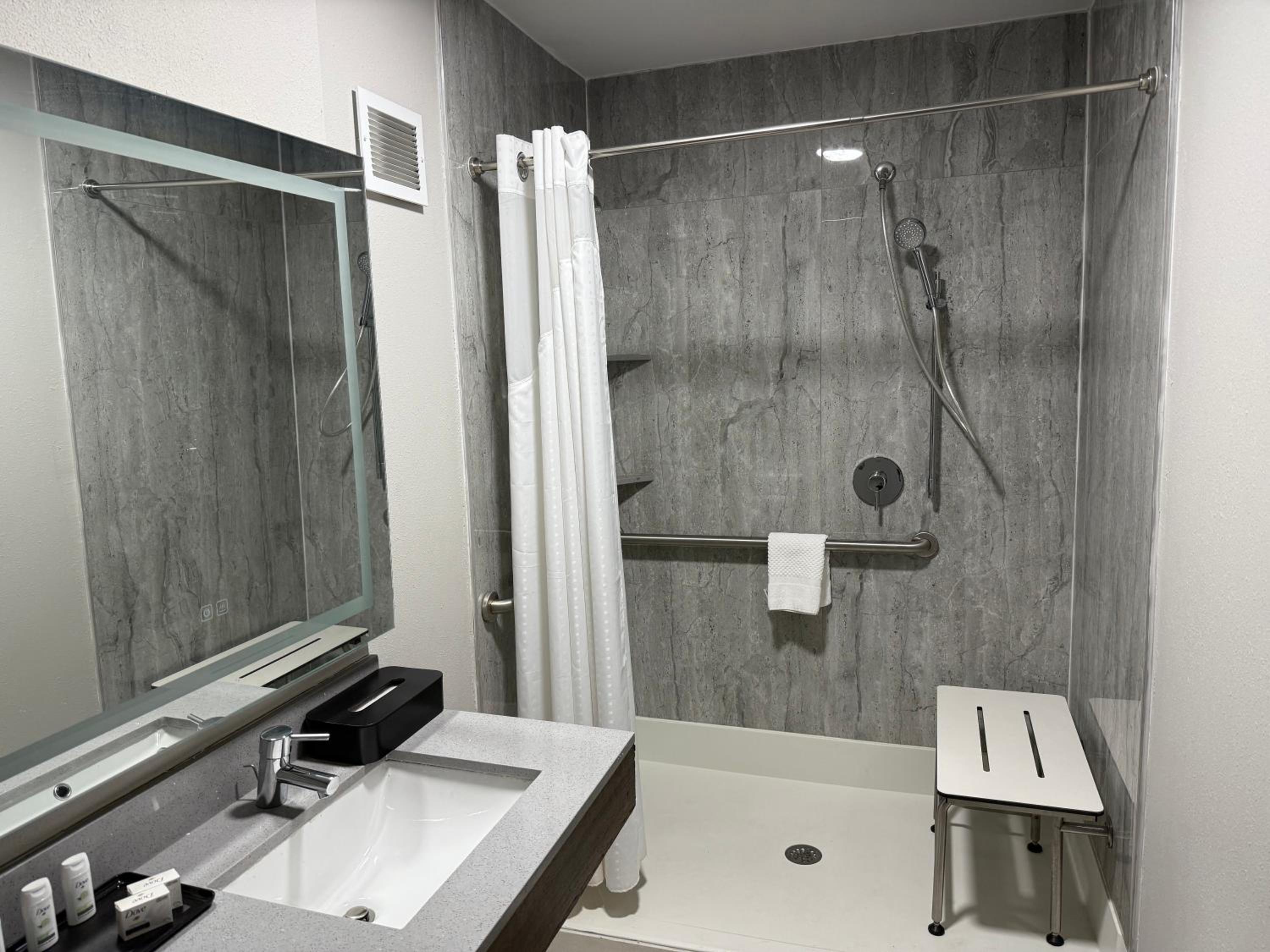 King Room with Roll-In Shower - Disability Access photo 3