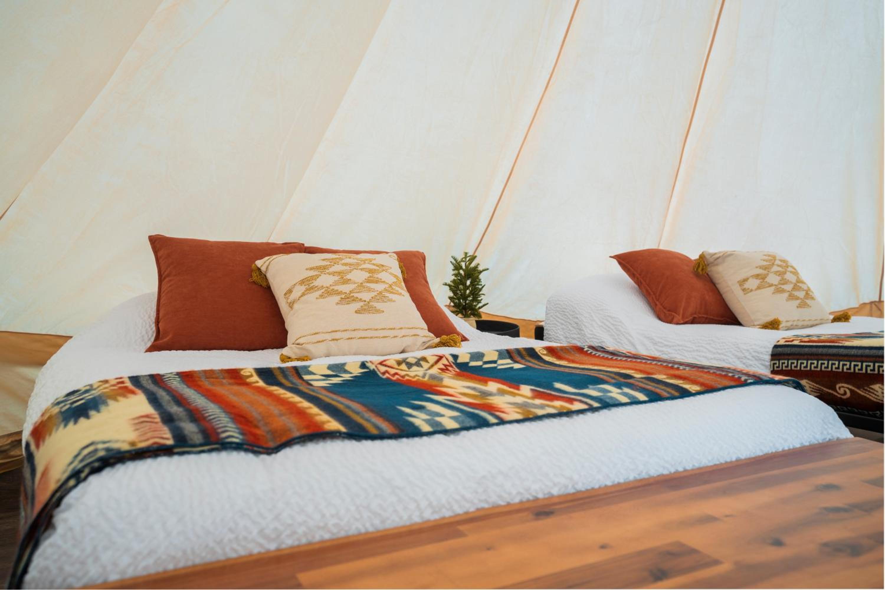 Glamping Canvas Bell Tent (walk-in) photo 2