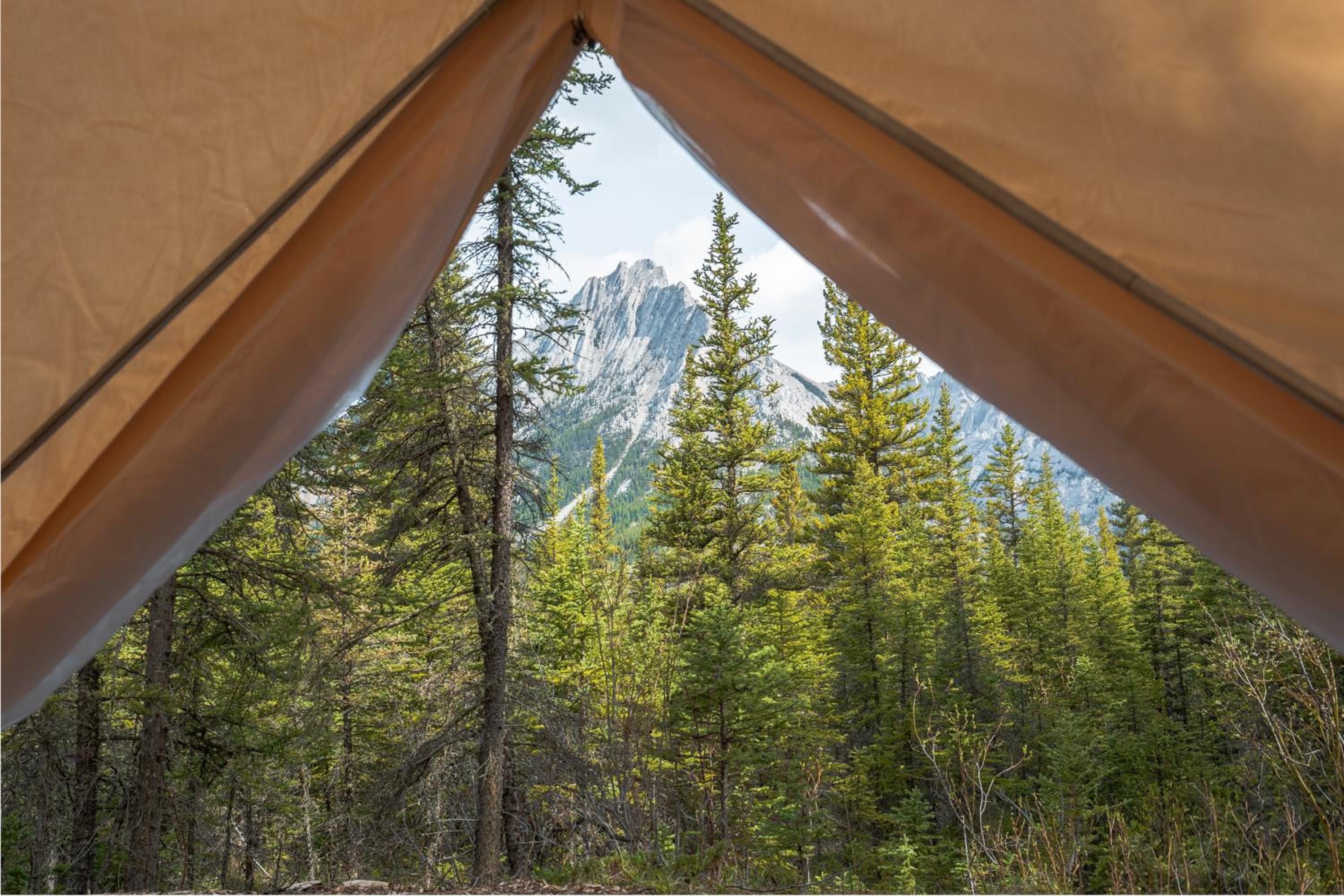 Glamping Canvas Bell Tent (walk-in) photo 3