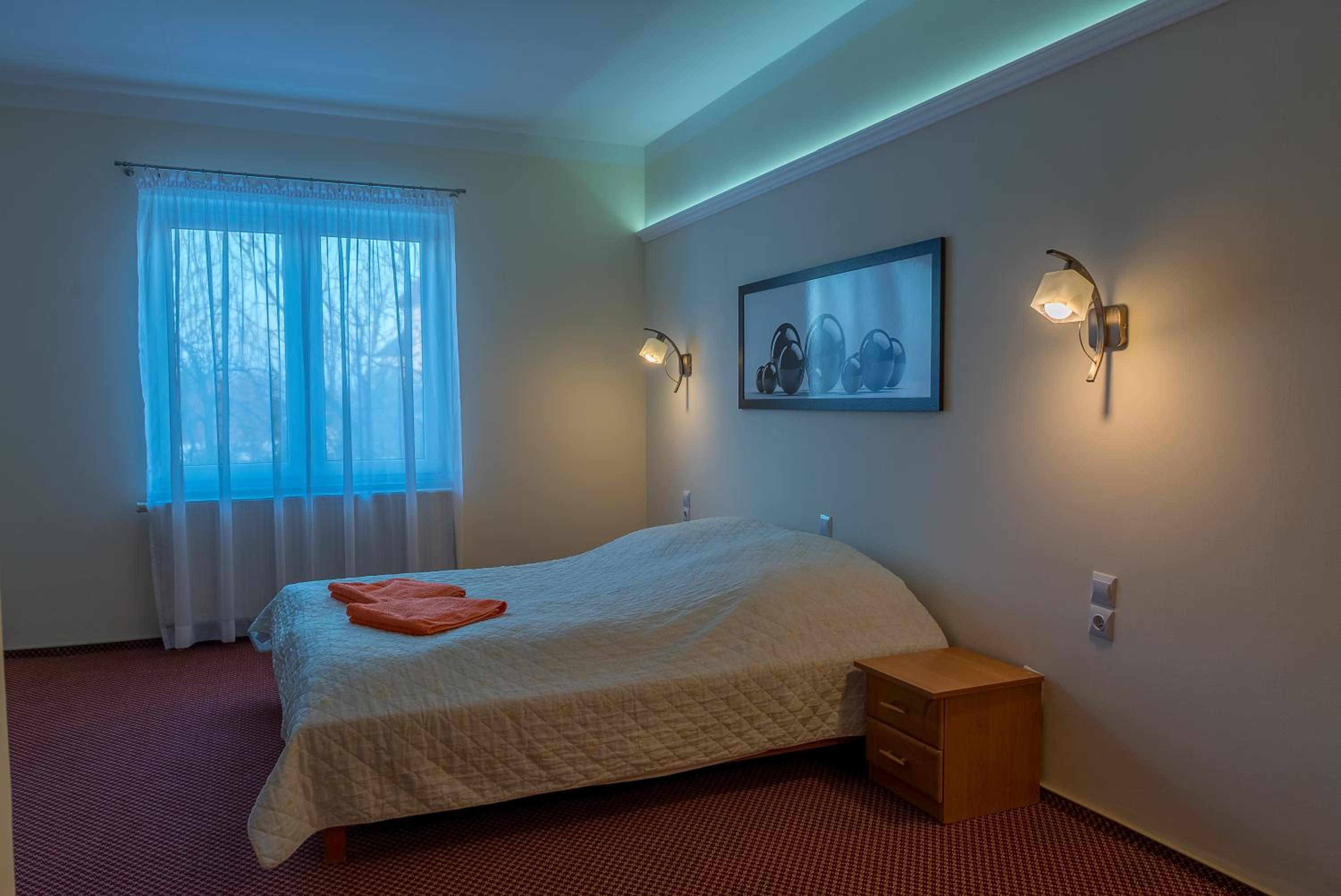 Double or Twin Room - Photo 1