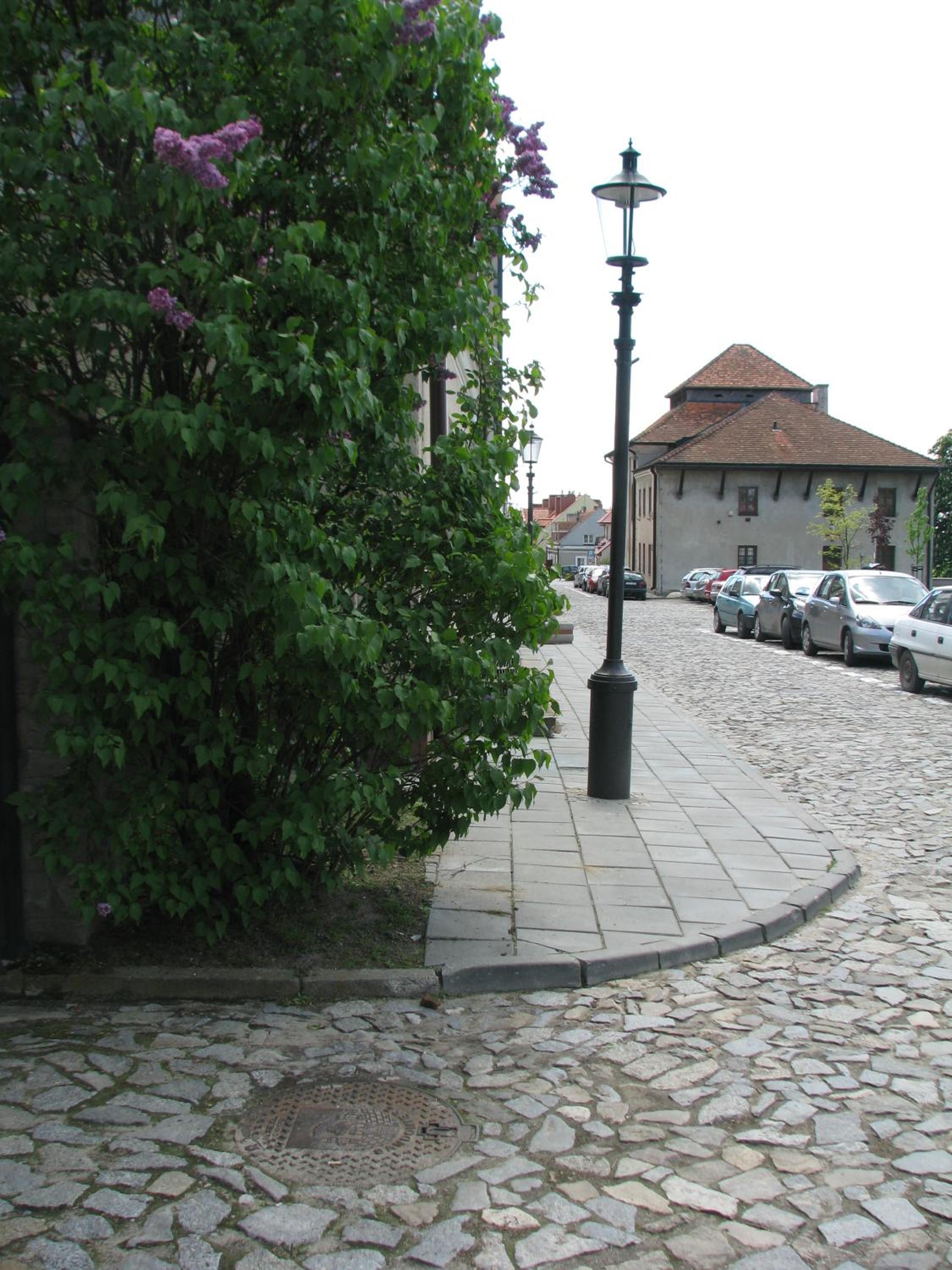 Apartment - Photo 6