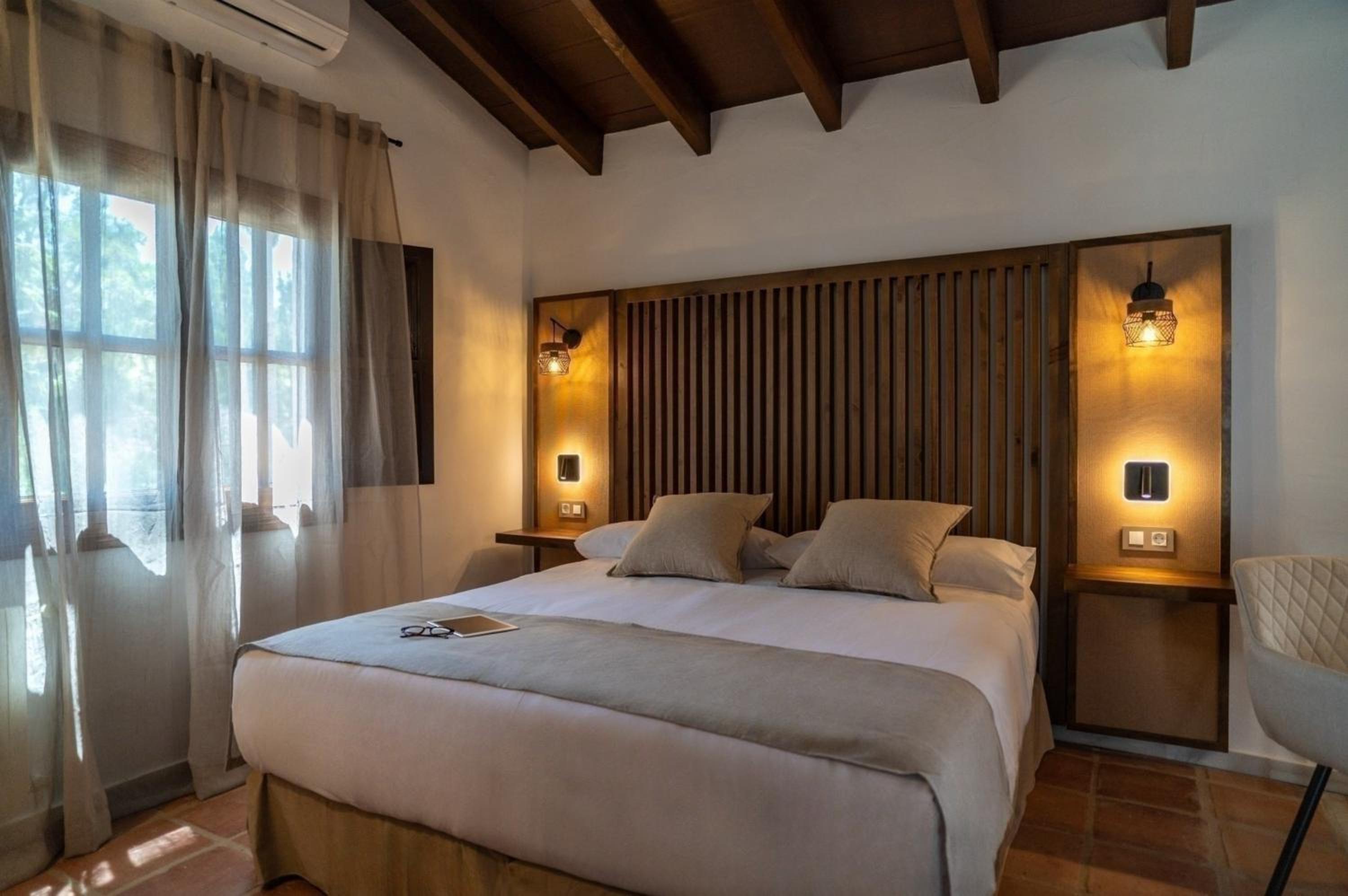 One-Bedroom Deluxe Apartment