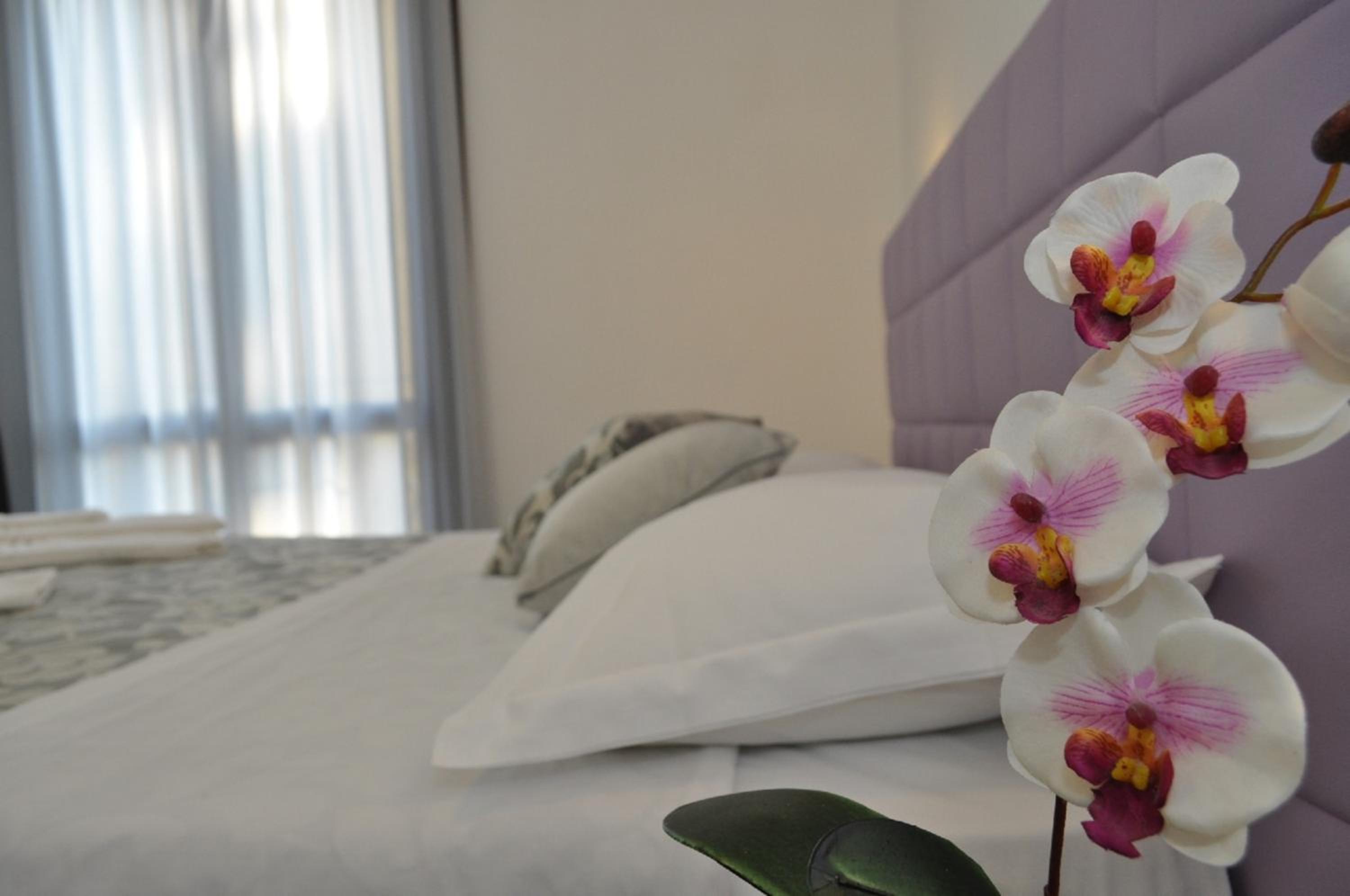 Deluxe Double Room - Photo 21
