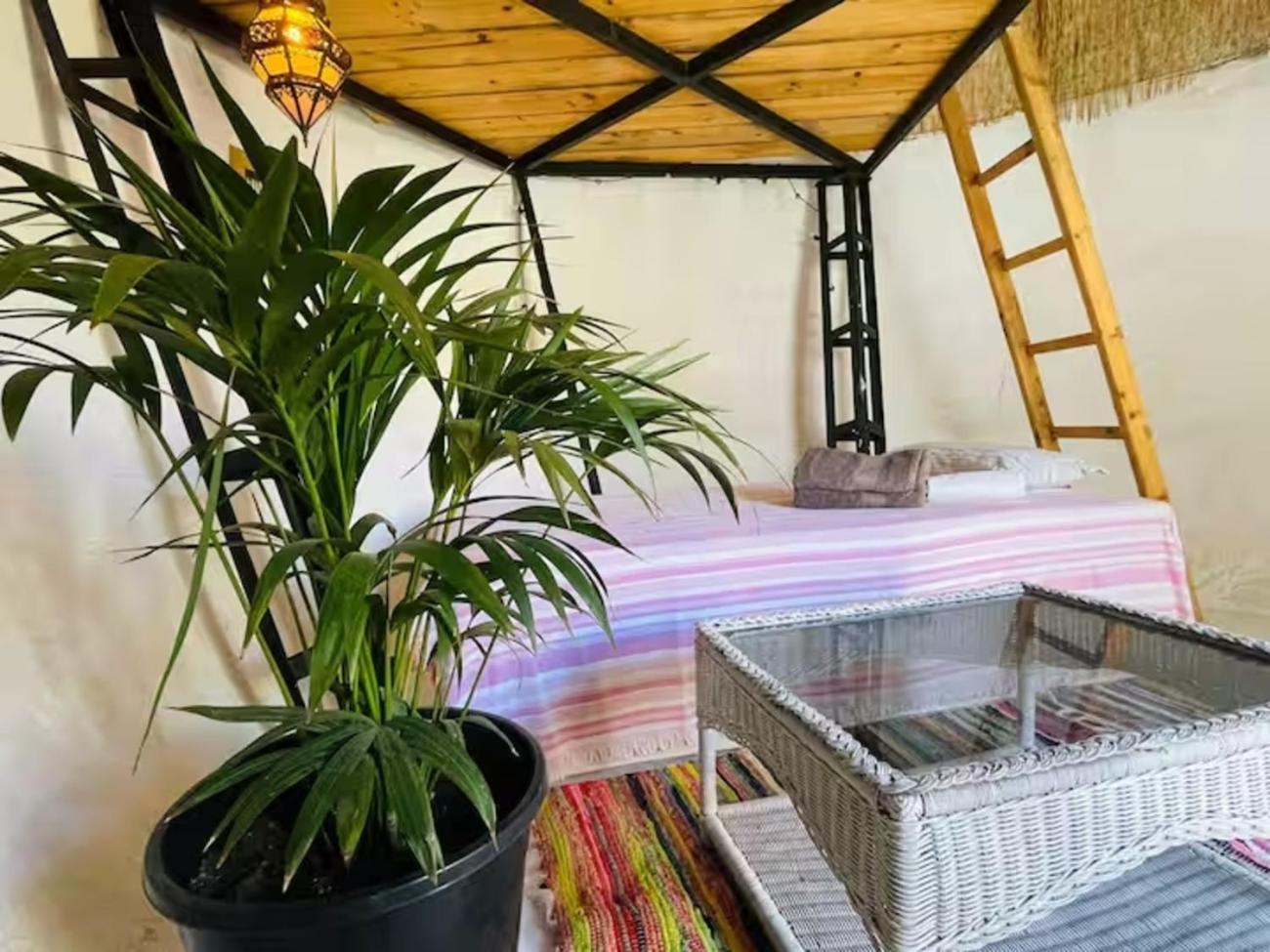 Habitación Doble con Balcón