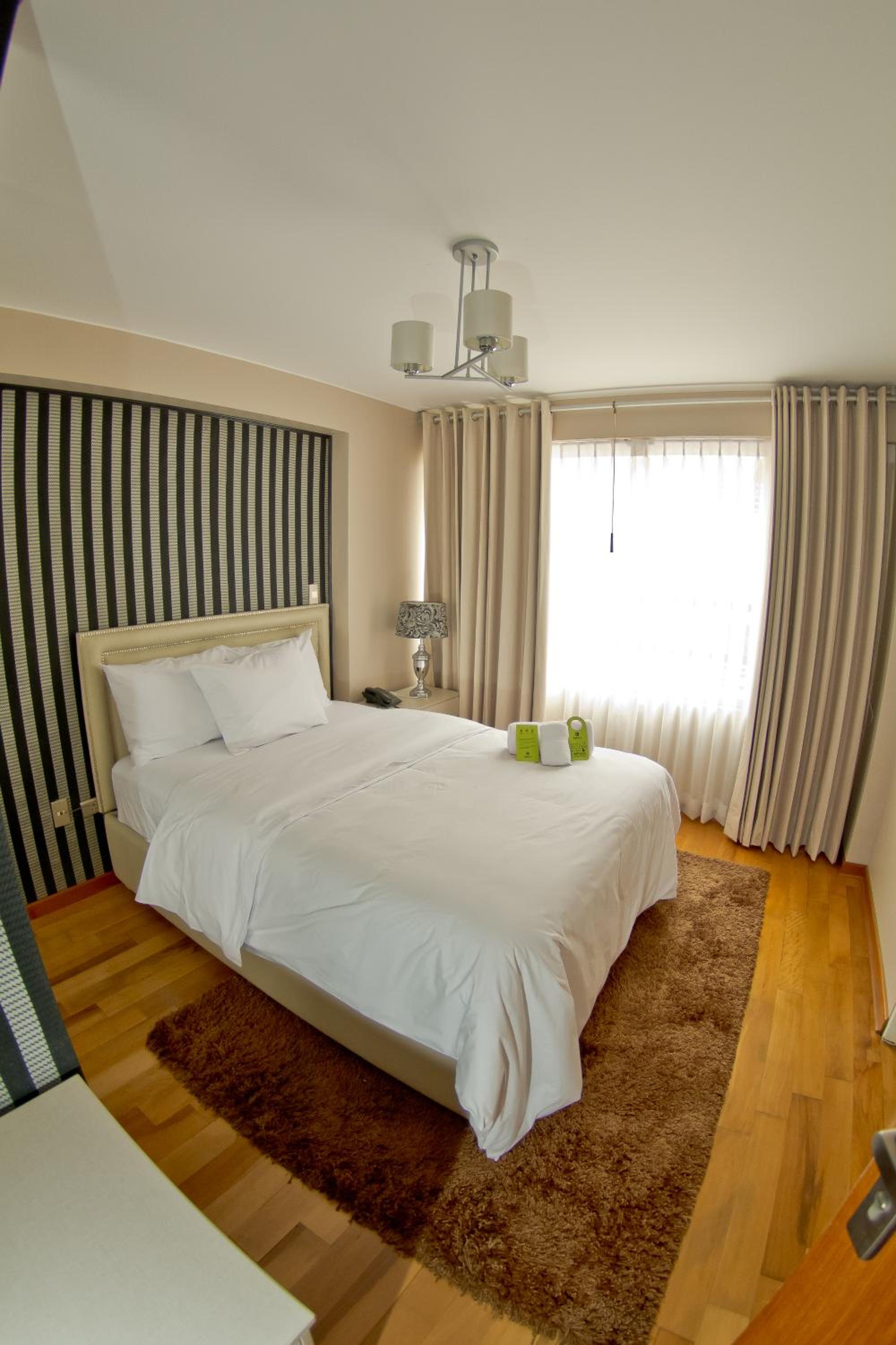 Single Room photo 2