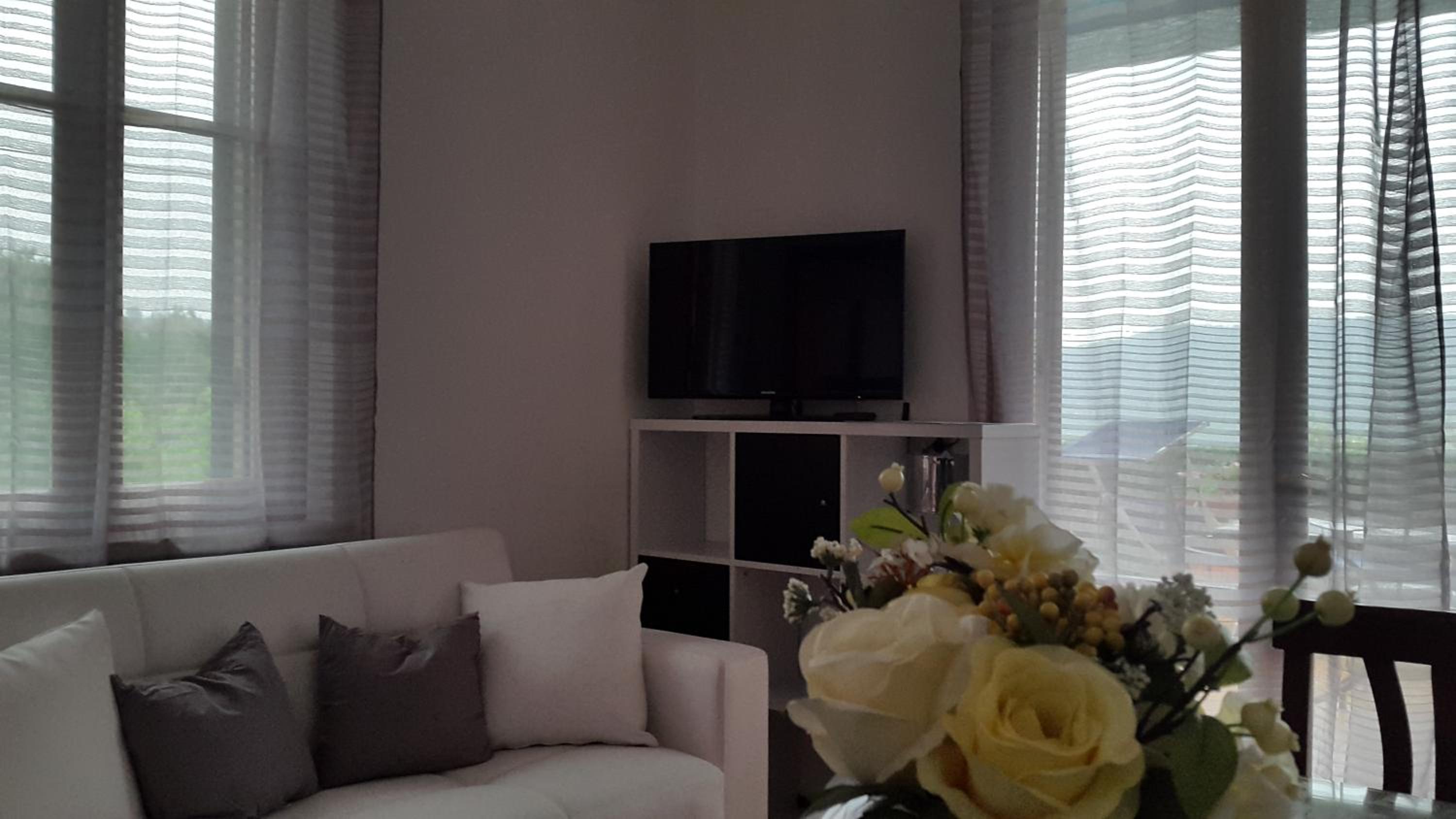 Basic Apartment with Terrace photo 3
