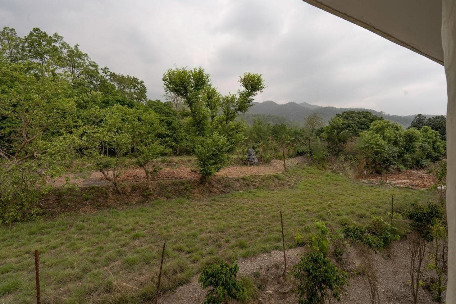 Superior hill view room with balcony free meal upgrade till 30th Sept,25 - Photo 4