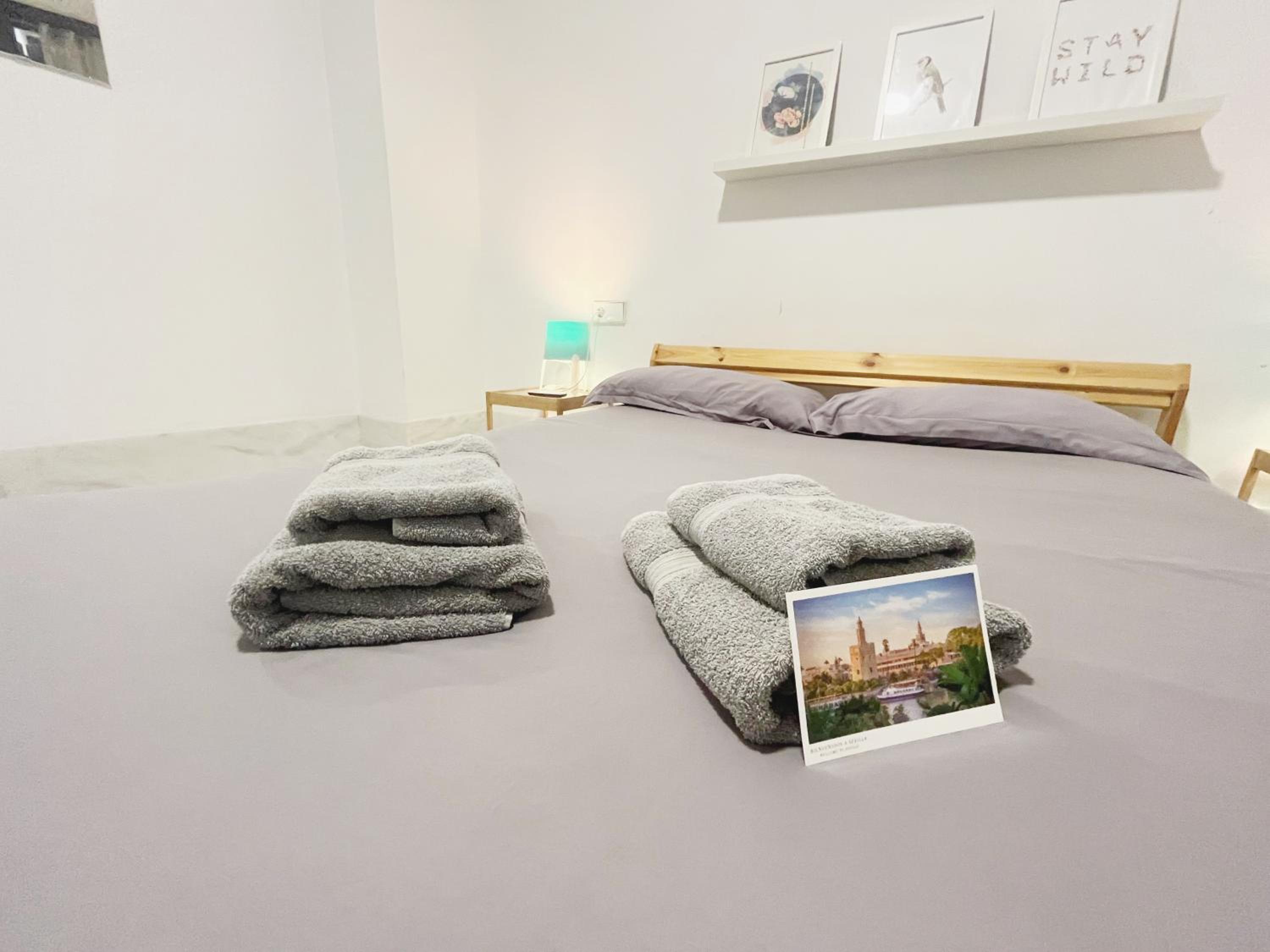 Deluxe One-Bedroom Apartment