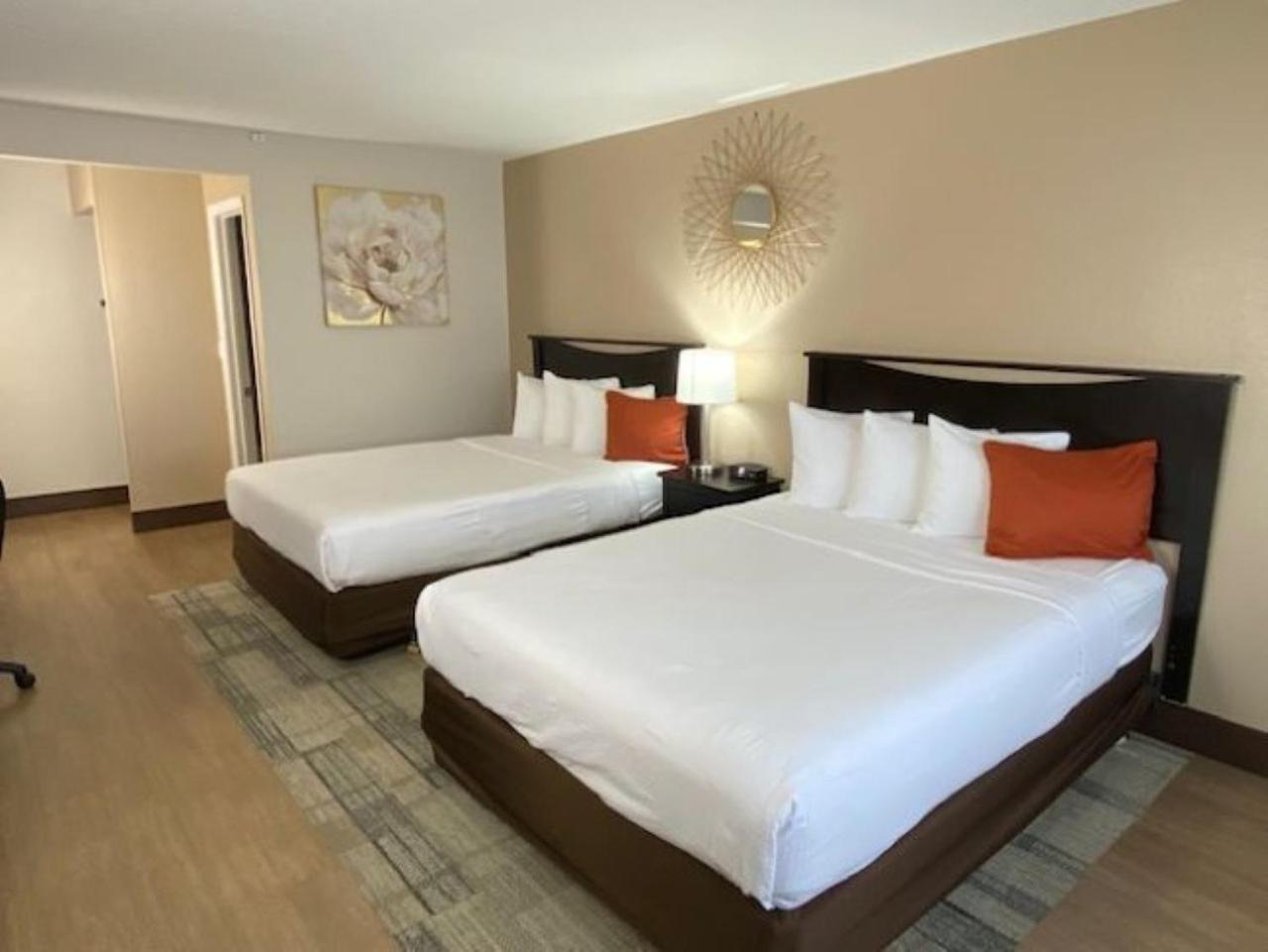 Deluxe Queen Room photo 1