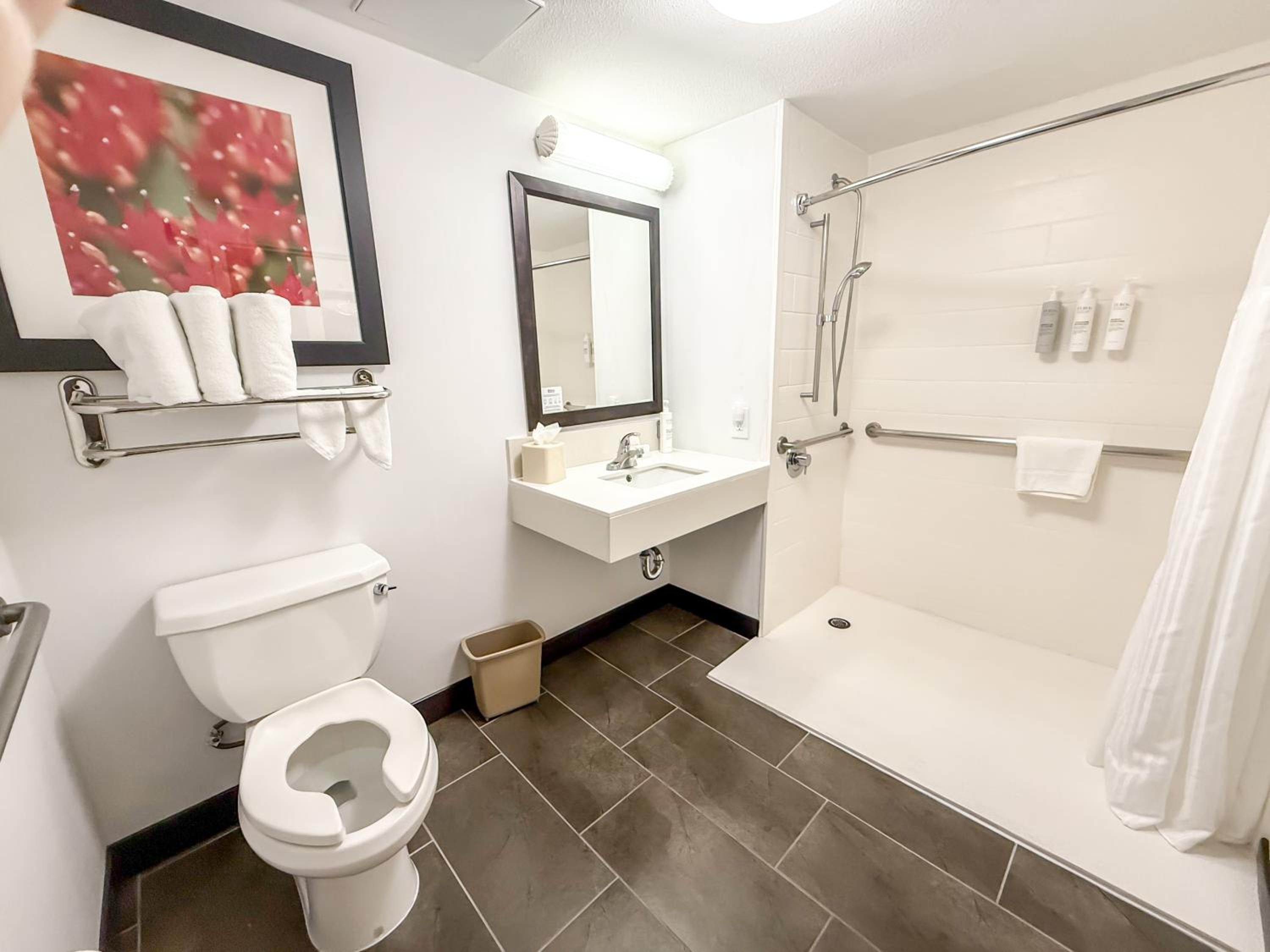 King Room with Roll-In Shower - Mobility Access - Photo 5