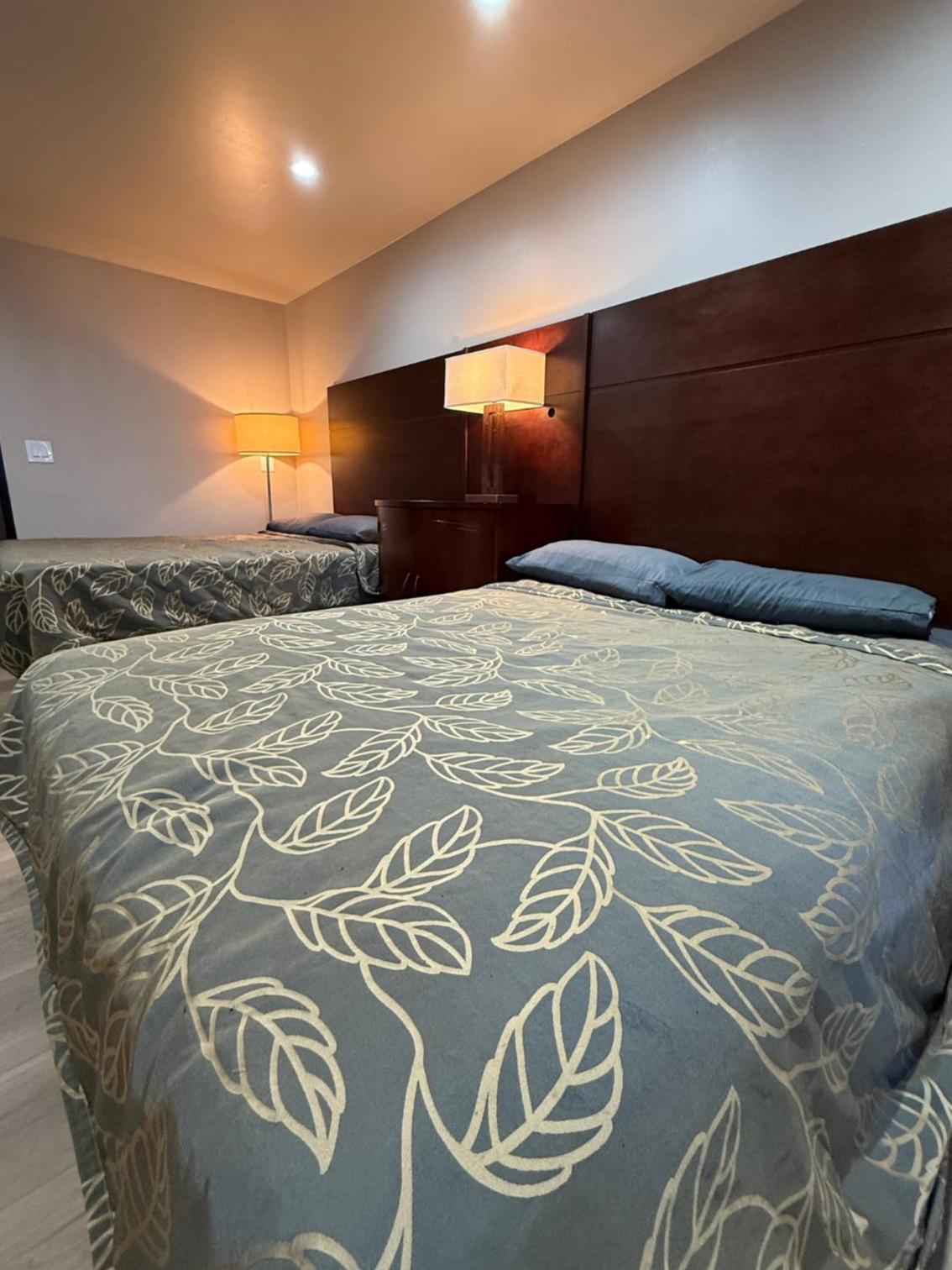 Queen Room - Disability Access photo 3