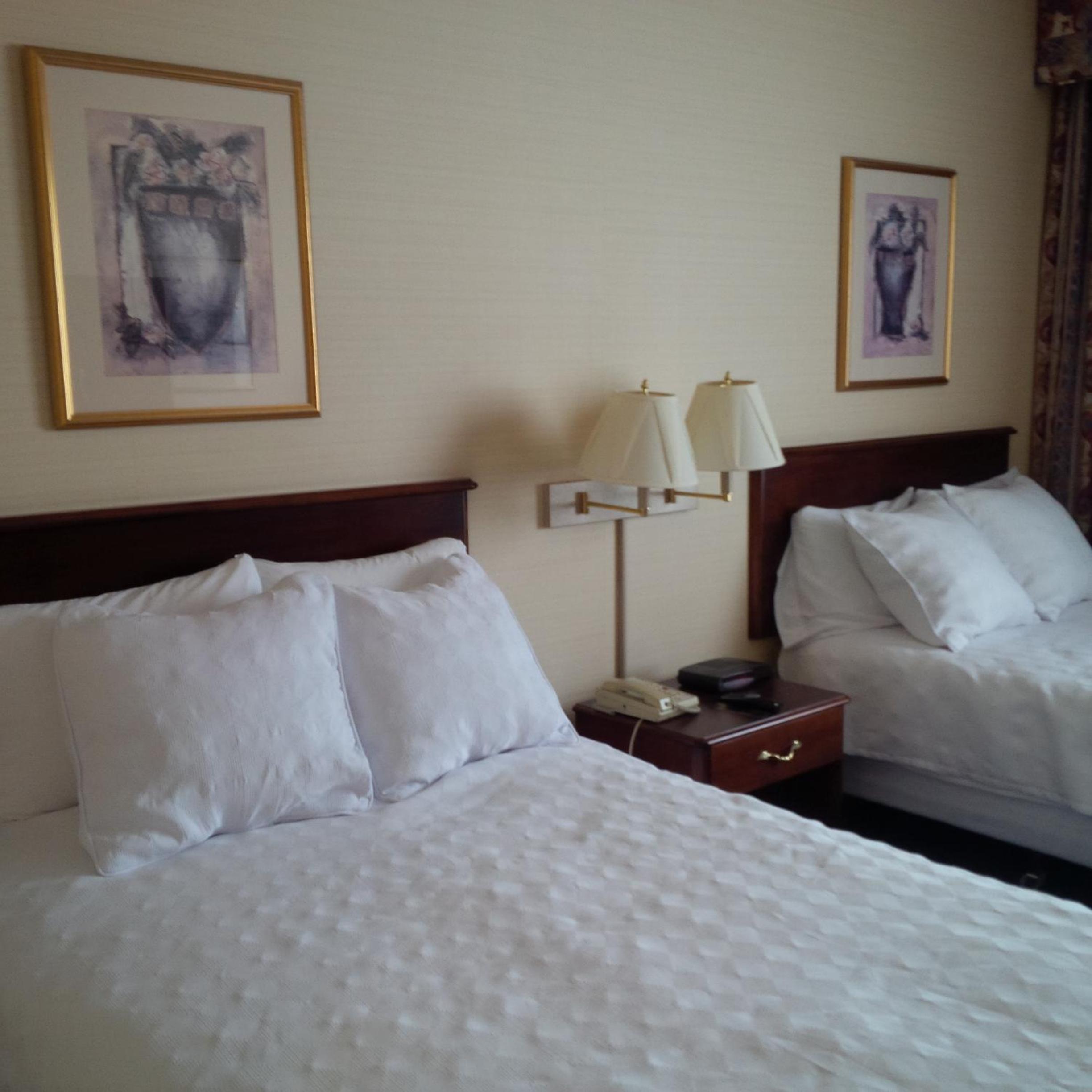 Standard Double Room With Two Double Beds photo 2
