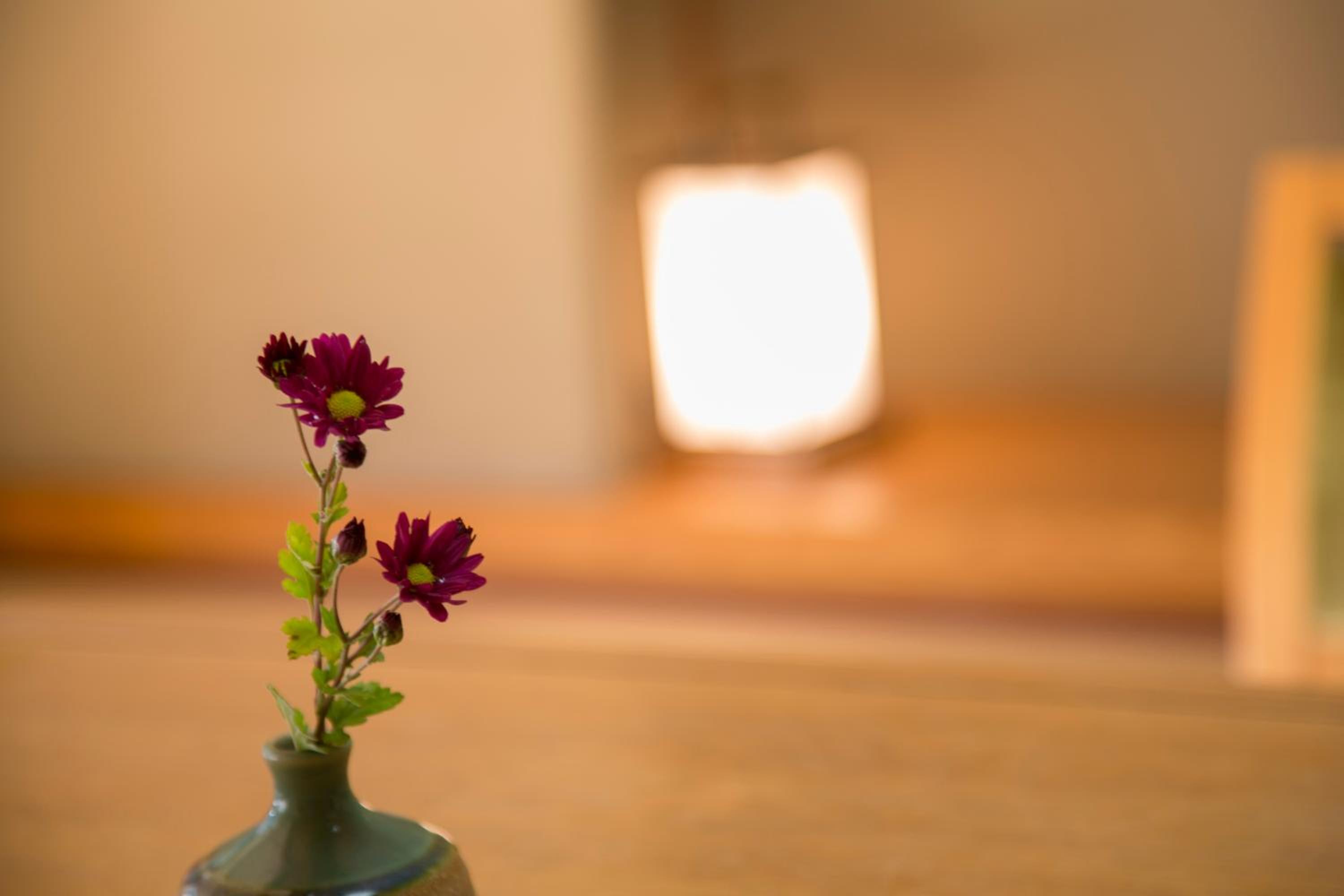 Japanese-Style Room photo 2