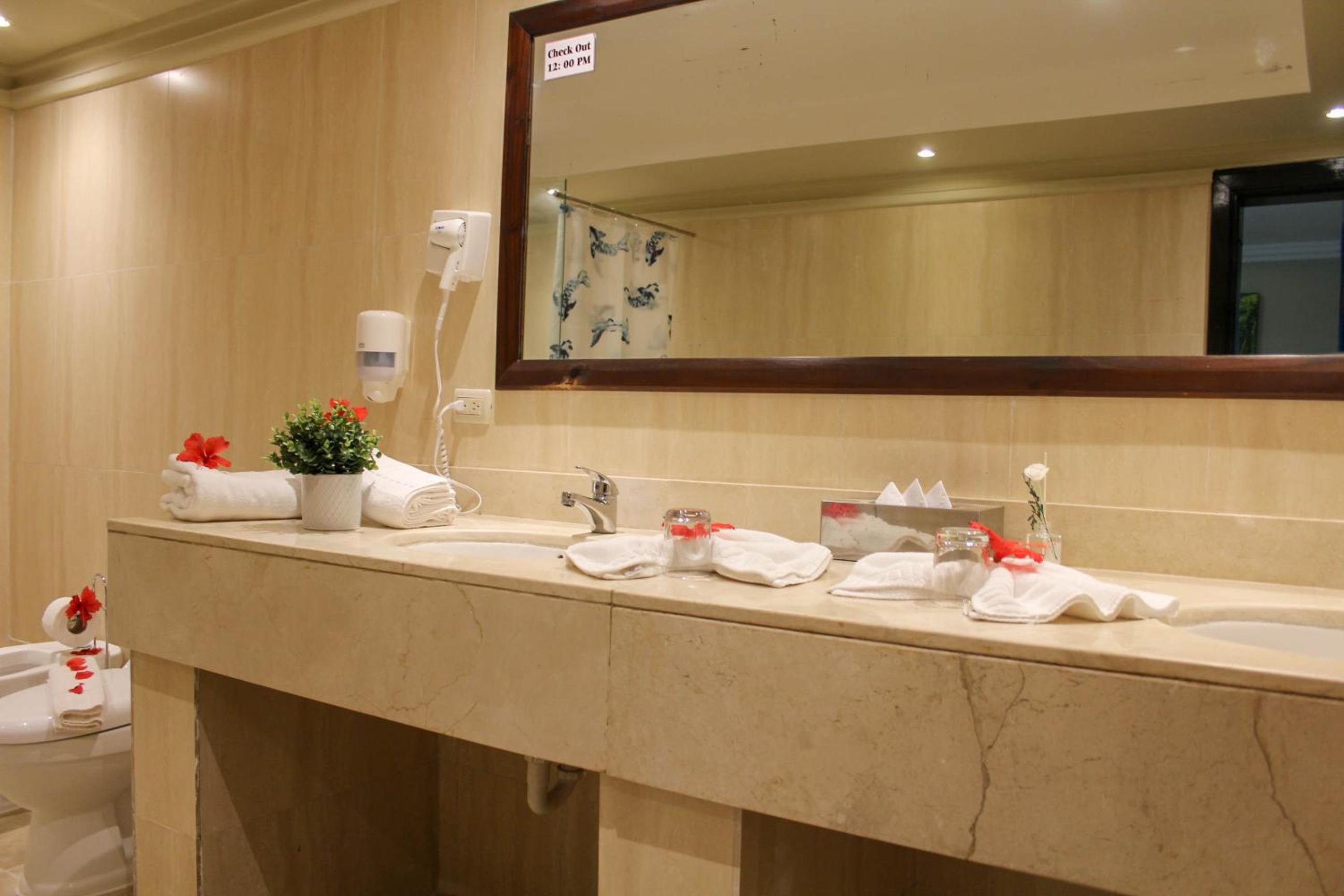 Deluxe Queen Suite