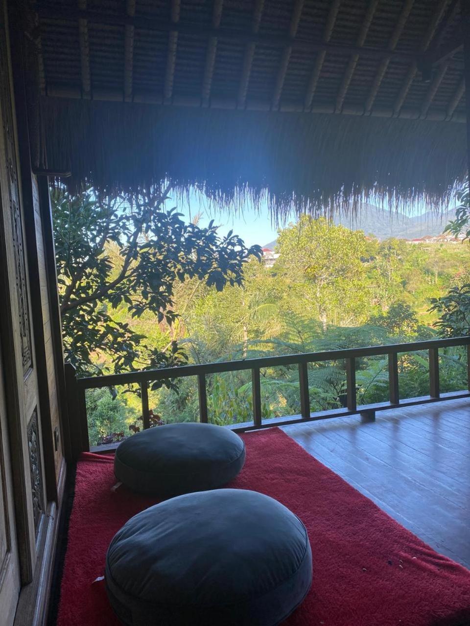 Suite with Mountain View photo 2