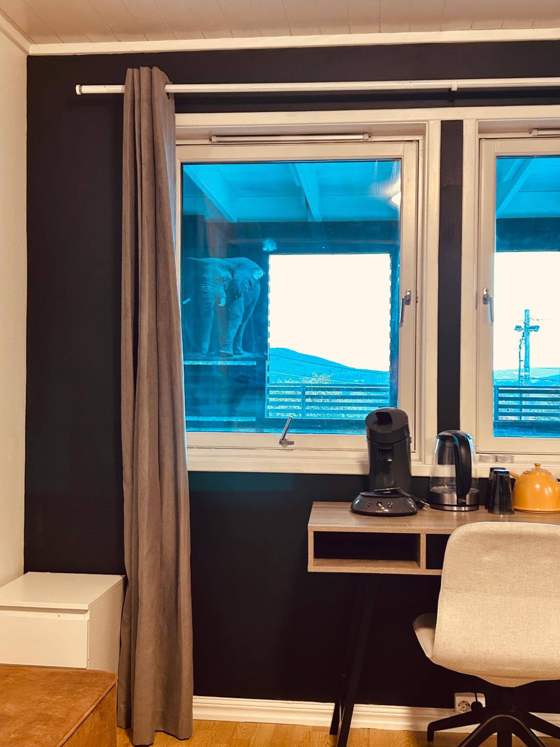 Double Room with Balcony photo 3