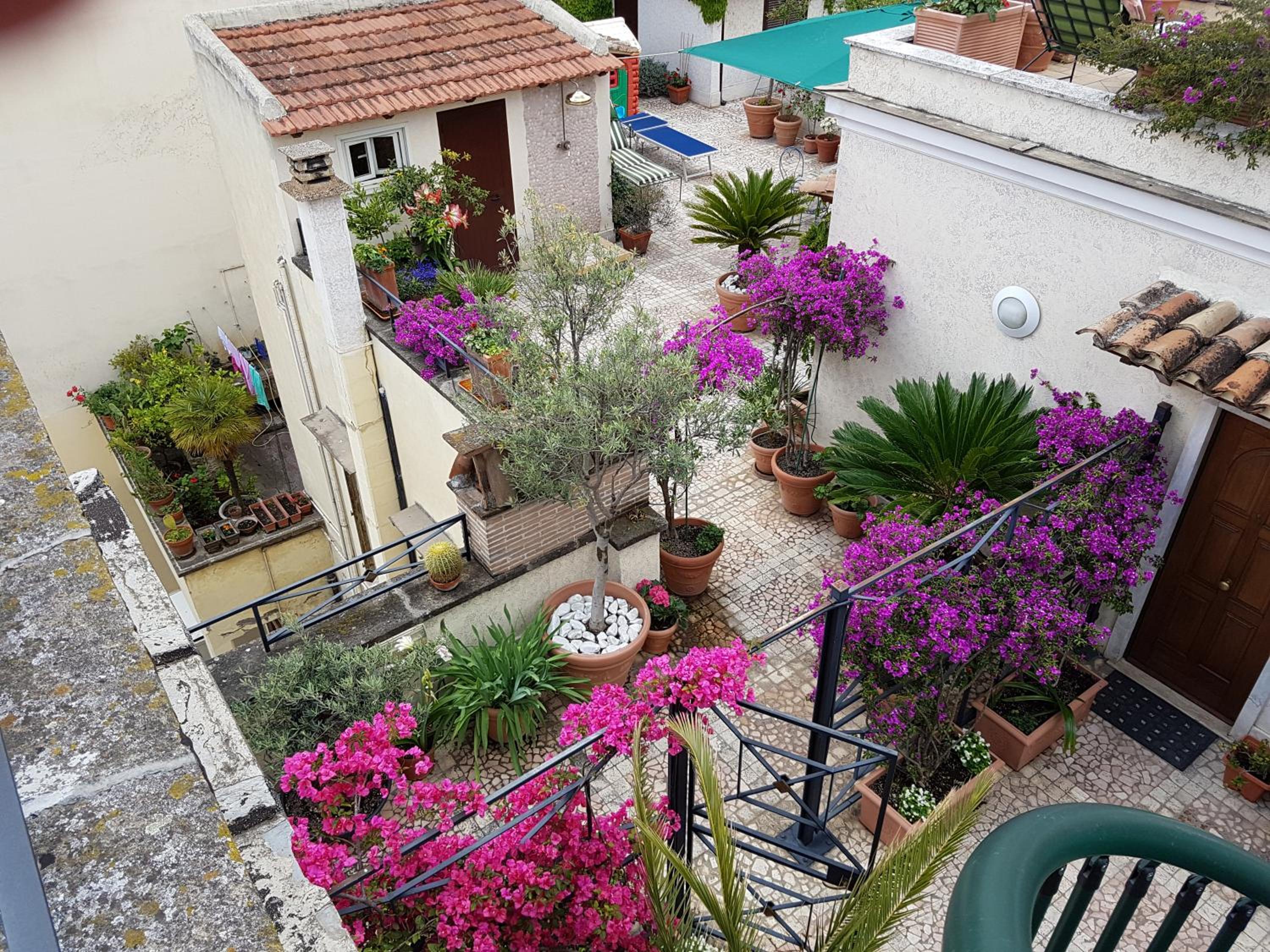 Suite with Terrace photo 3