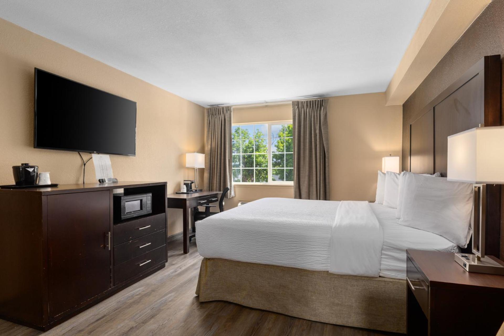 King Room - Non-Smoking - Photo 6