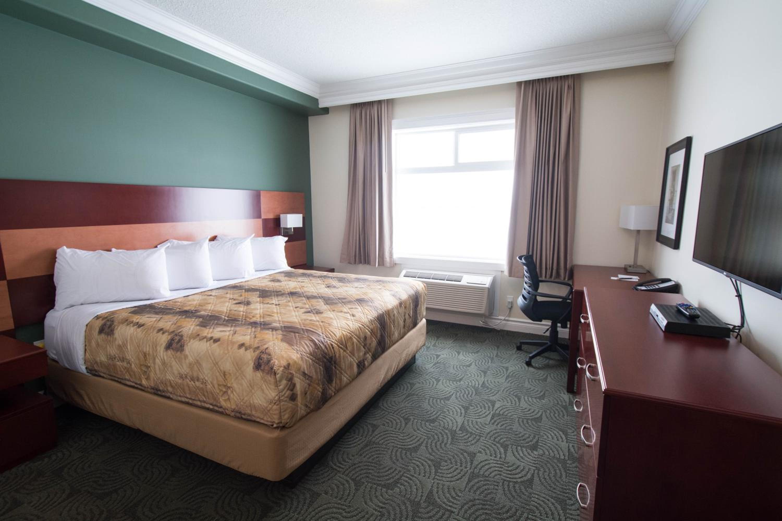 King Room photo 1