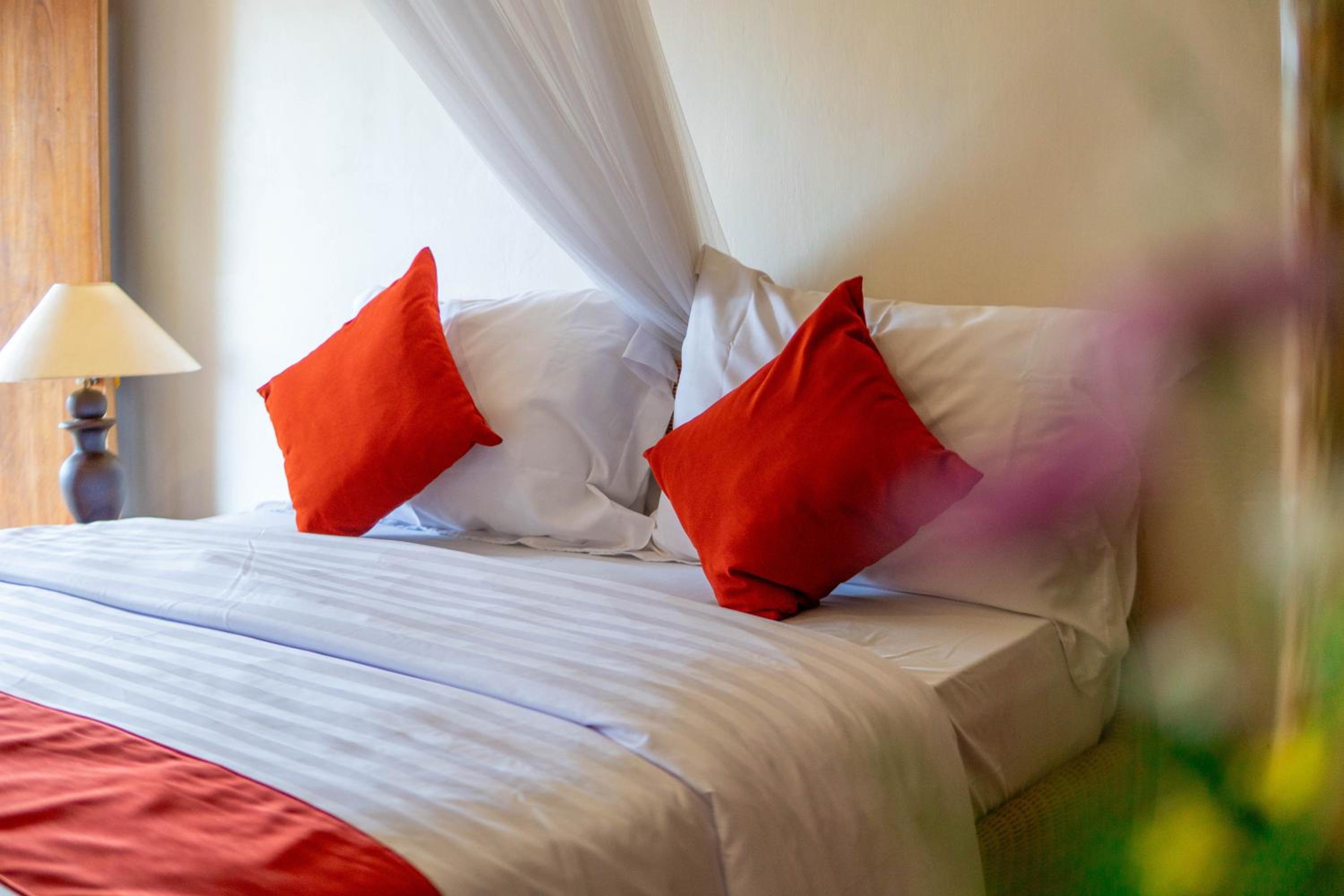 Deluxe Room photo 3