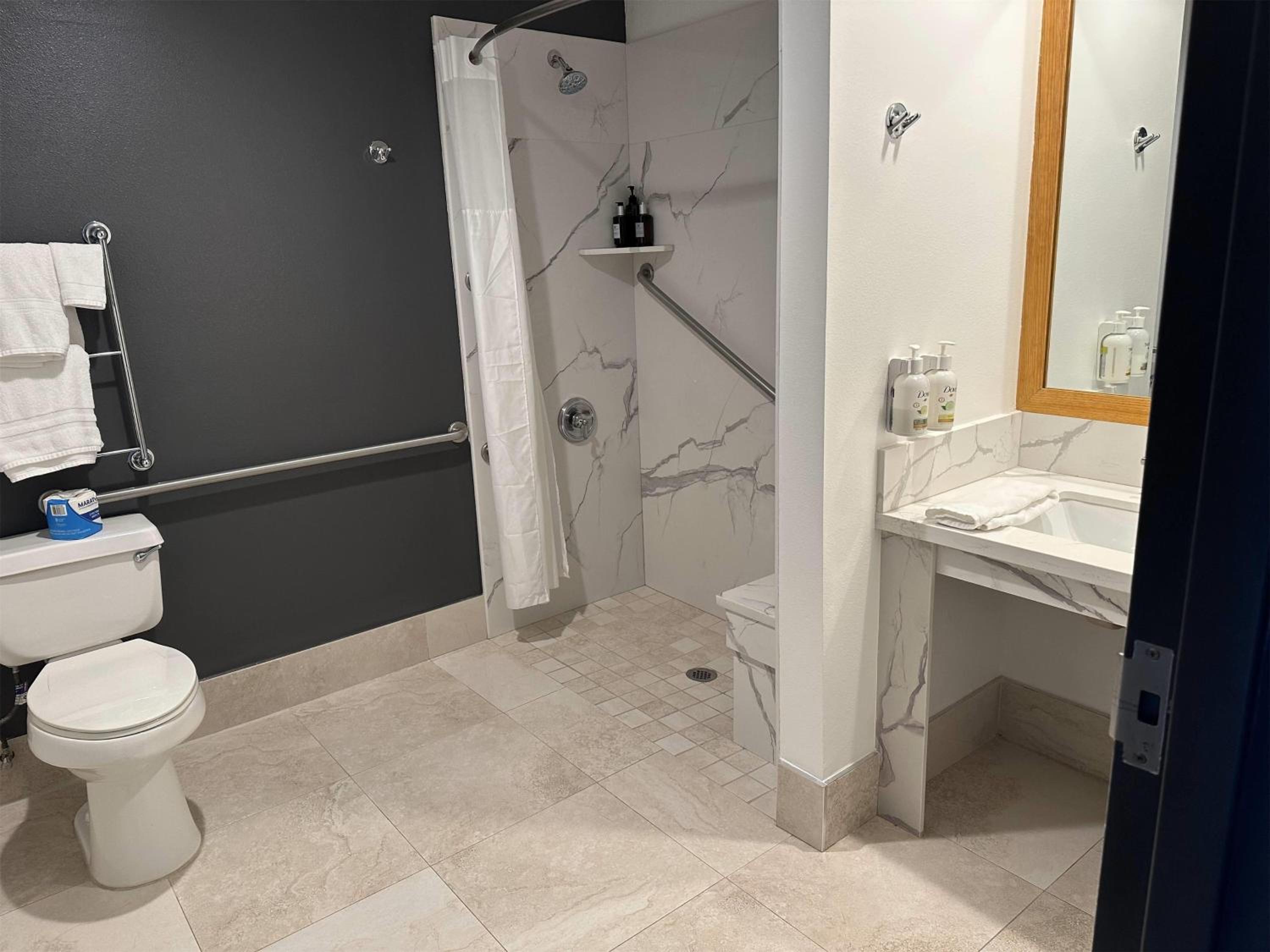King Room with Mobility/Hearing Access and Roll-In Shower, Non-Smoking - Photo 3