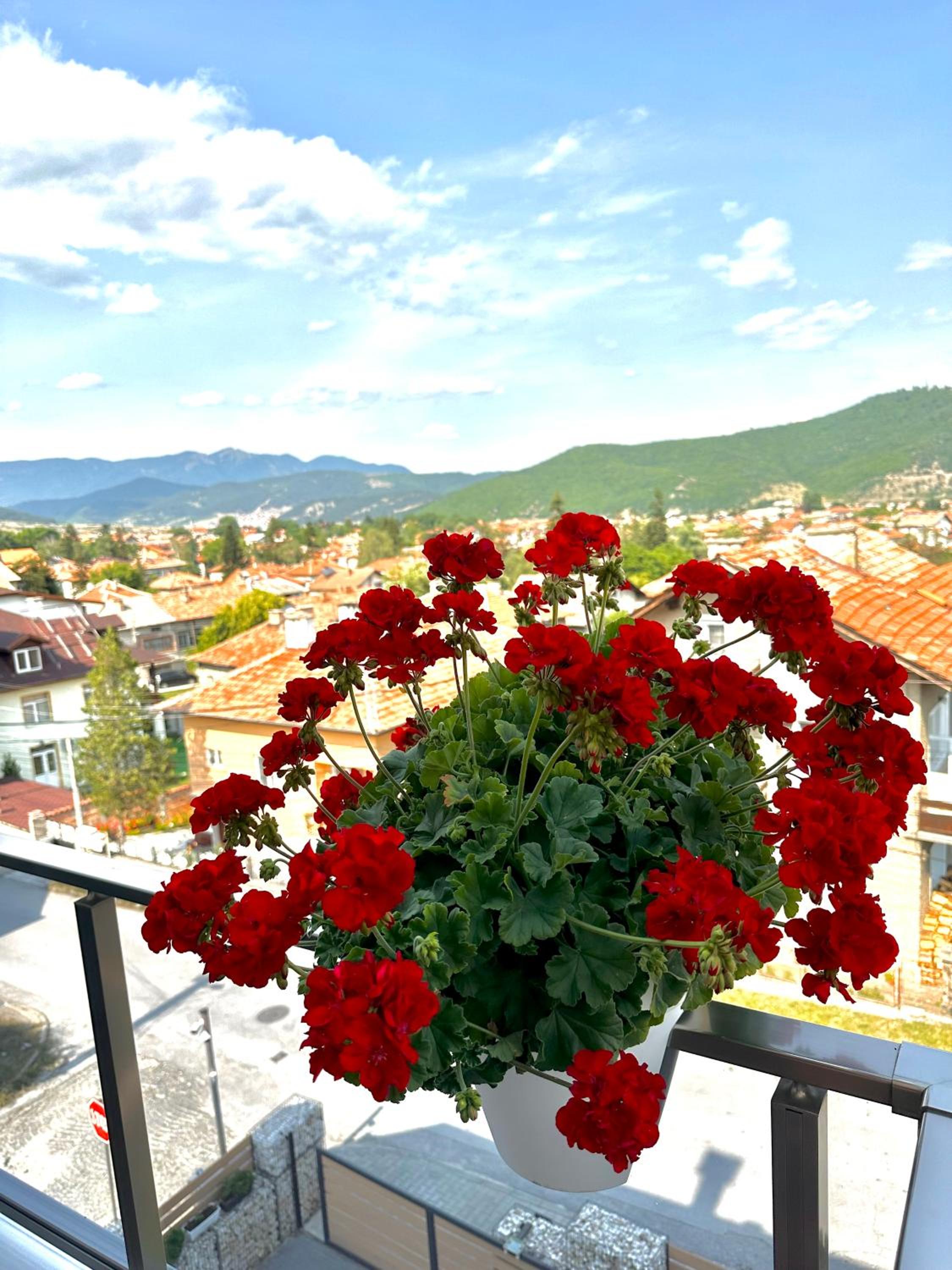 Apartment with View and Balcony