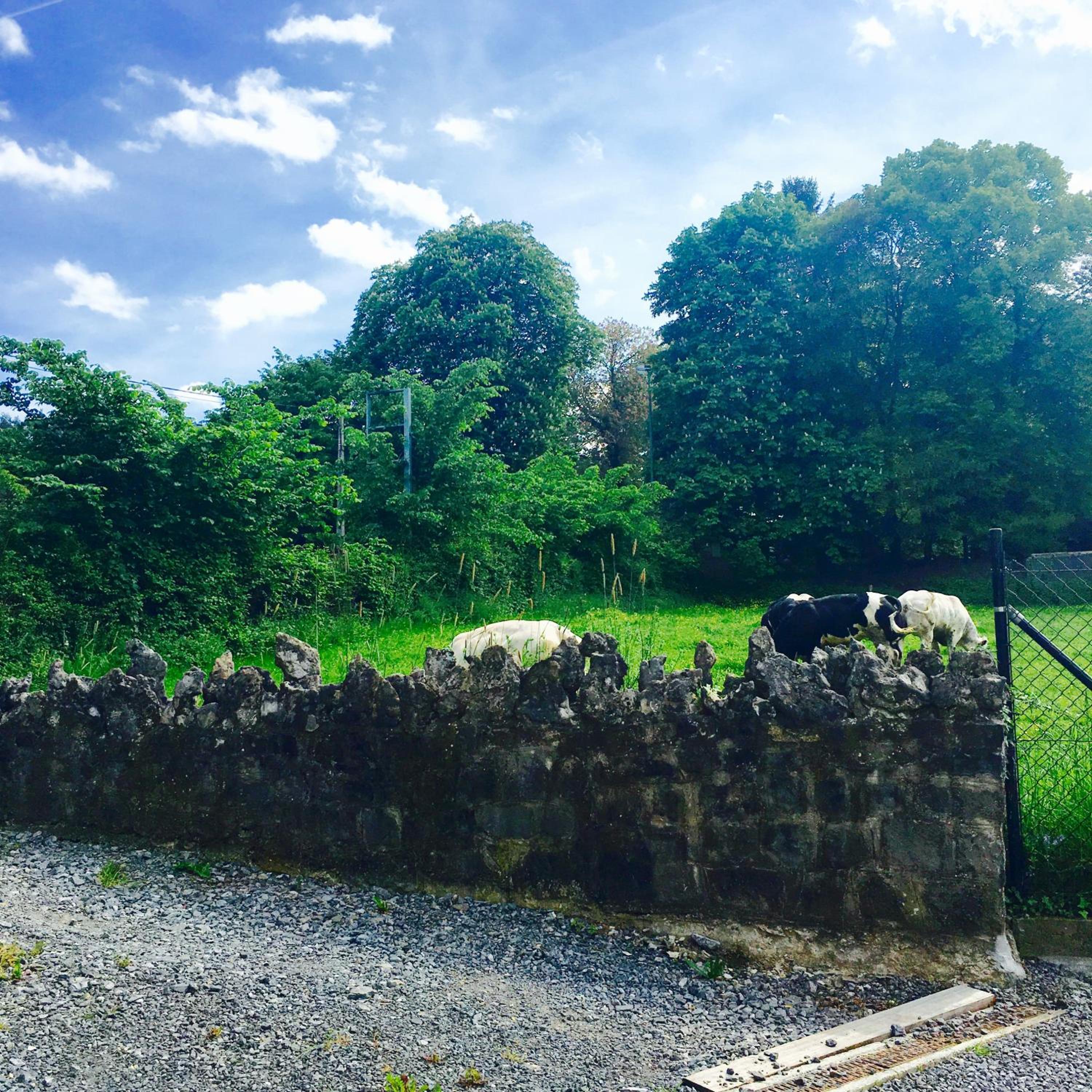B&B Le Notaire, Photo 17