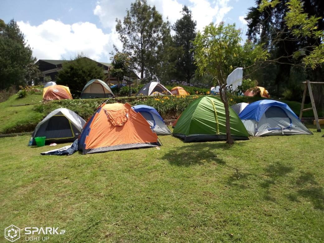 Tent photo 2