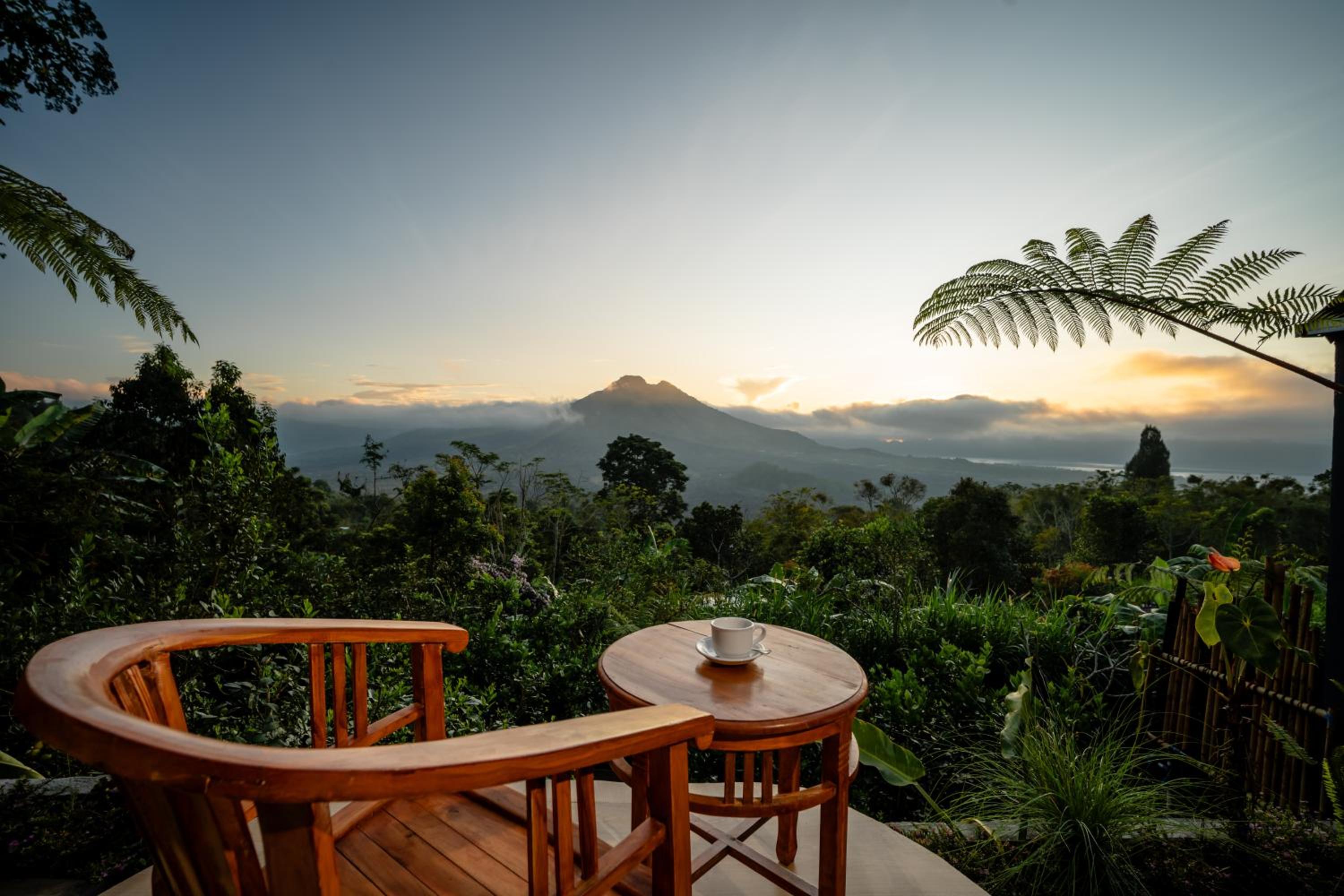 Suite with Mountain View photo 3