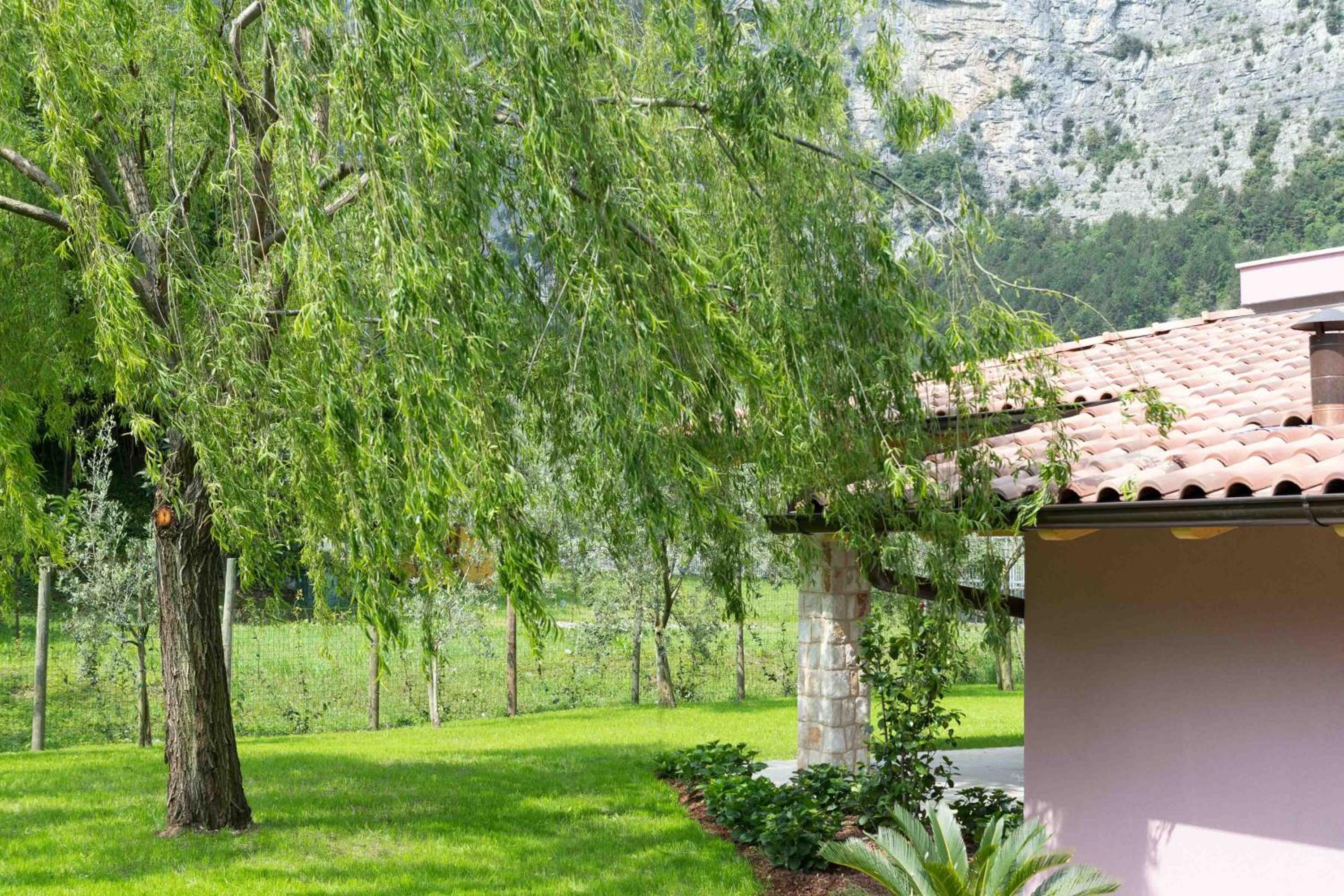 Economy Double or Twin Room with Garden View photo 2