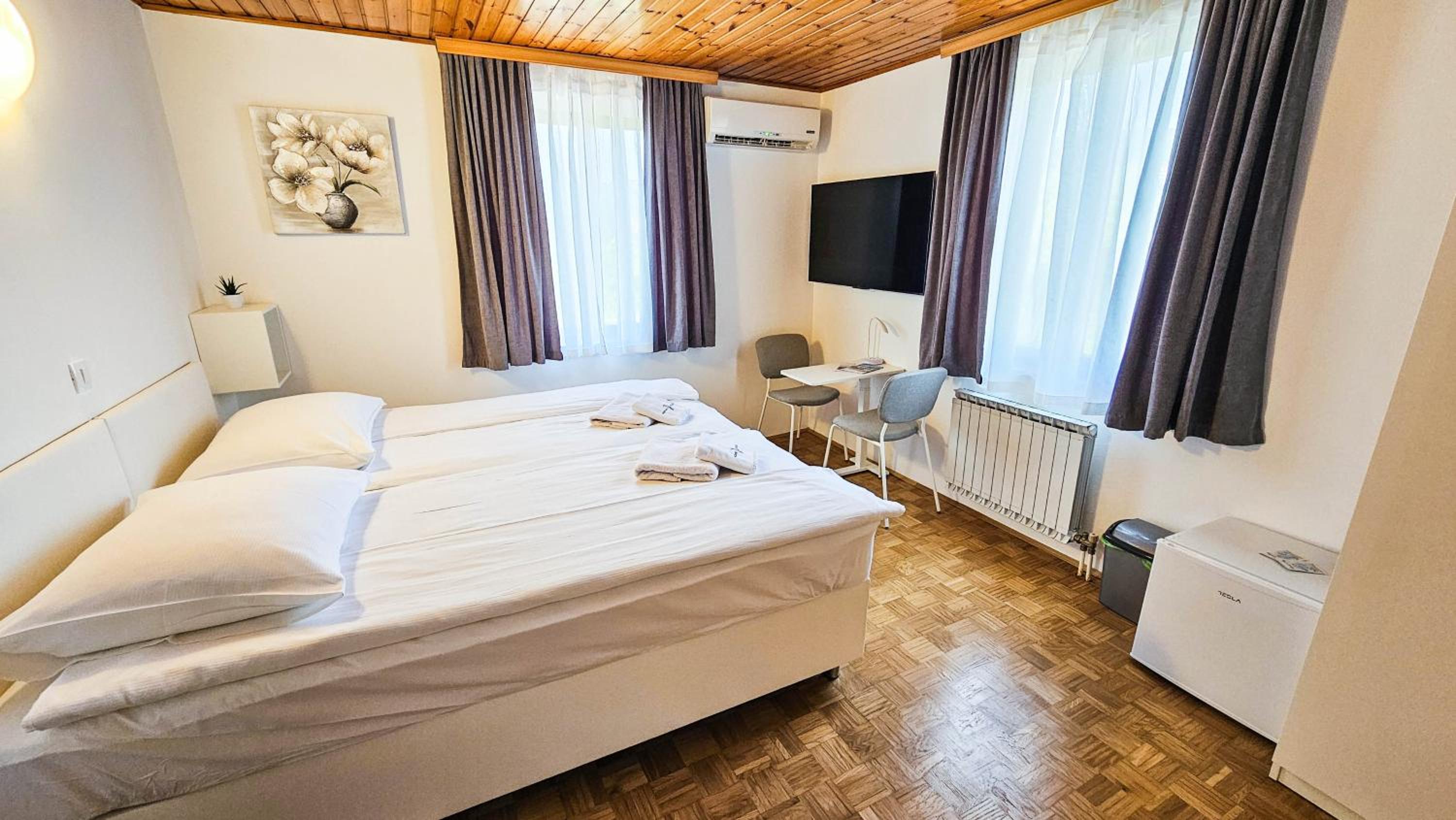 Superior Double or Twin Room with City View photo 2