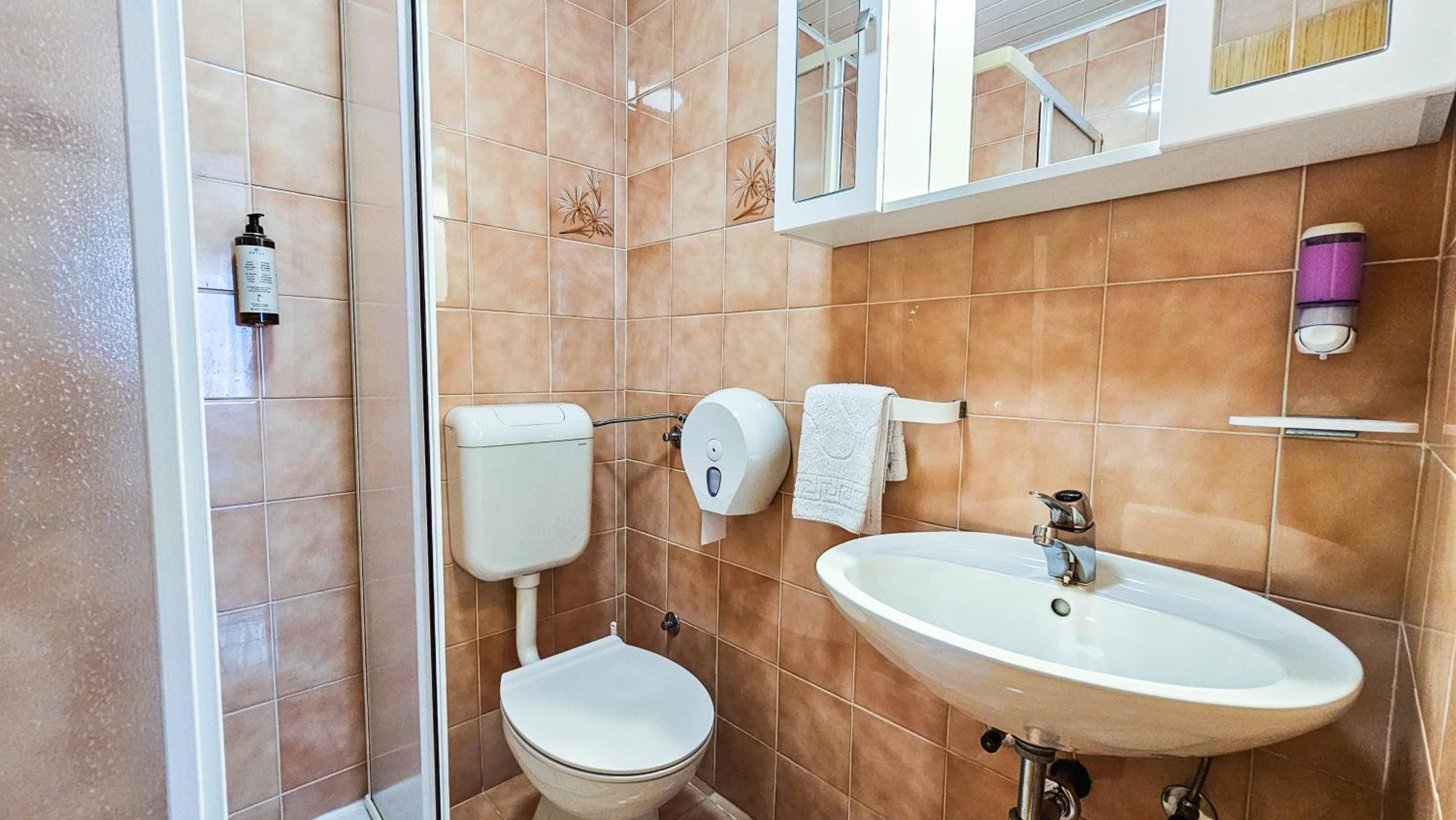 Superior Double or Twin Room with City View photo 3