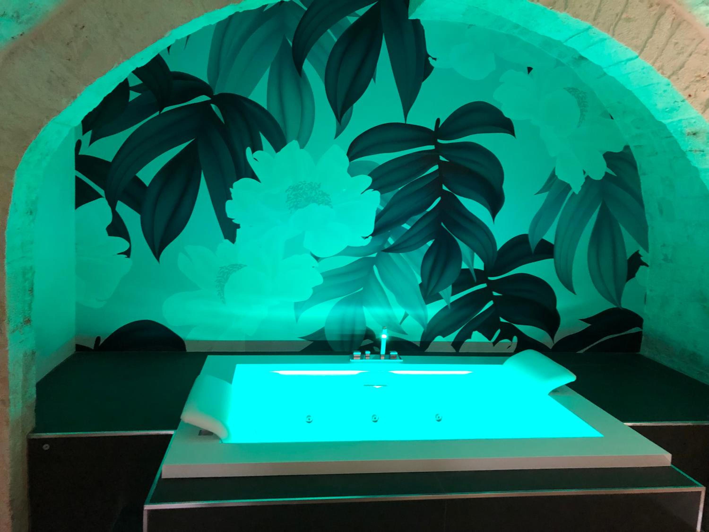 Junior Suite with Private Pool photo 3