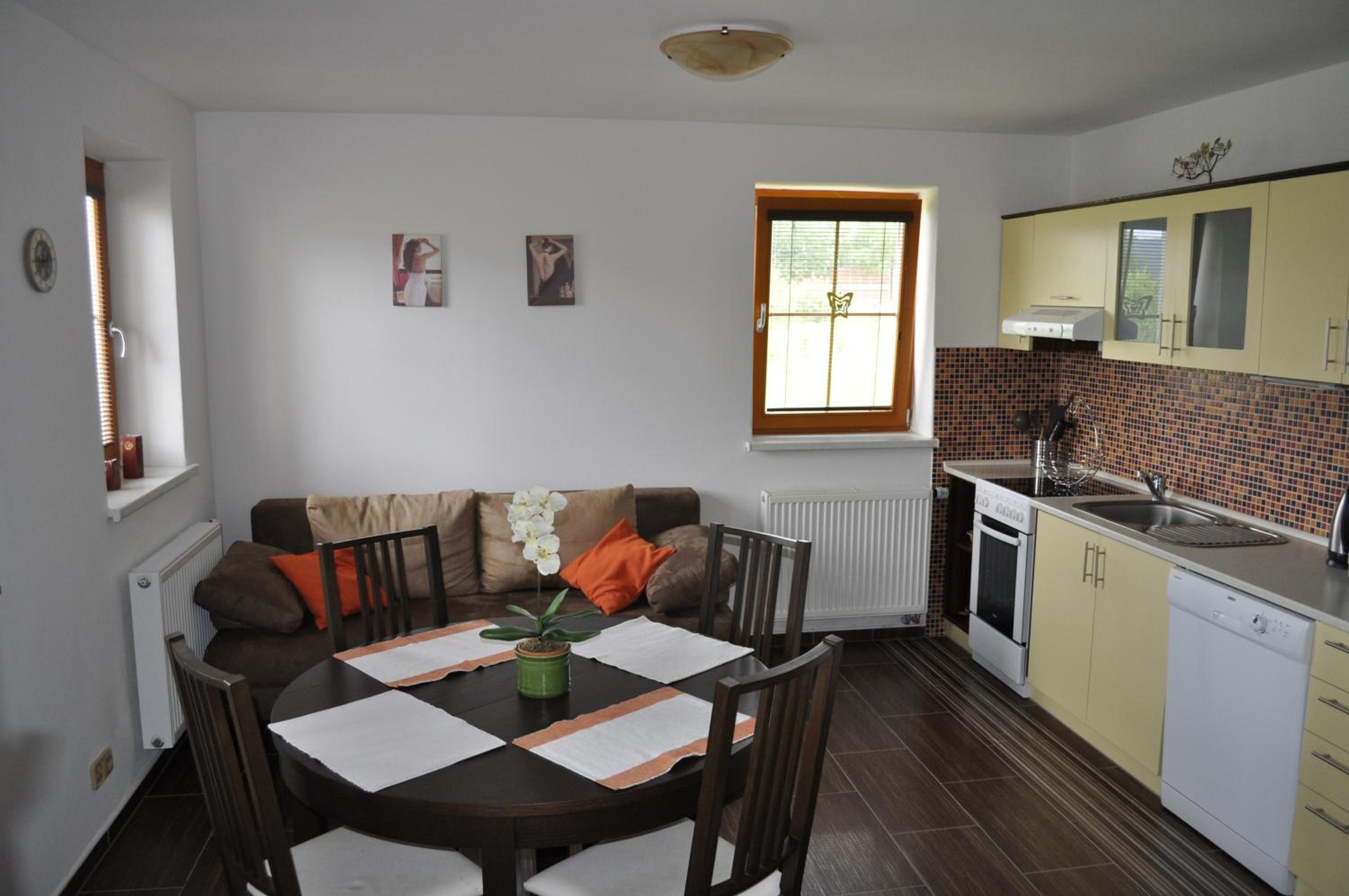 Large Apartment photo 3