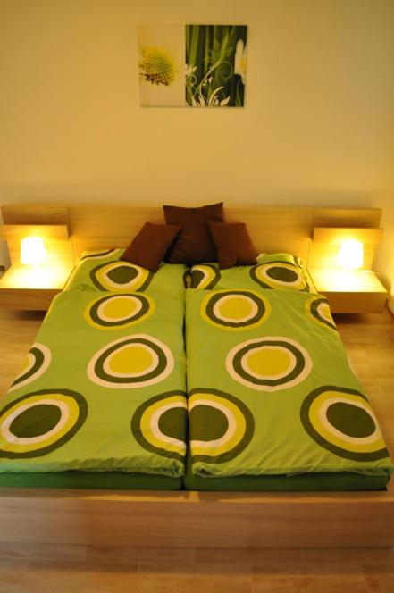 Large Apartment photo 1