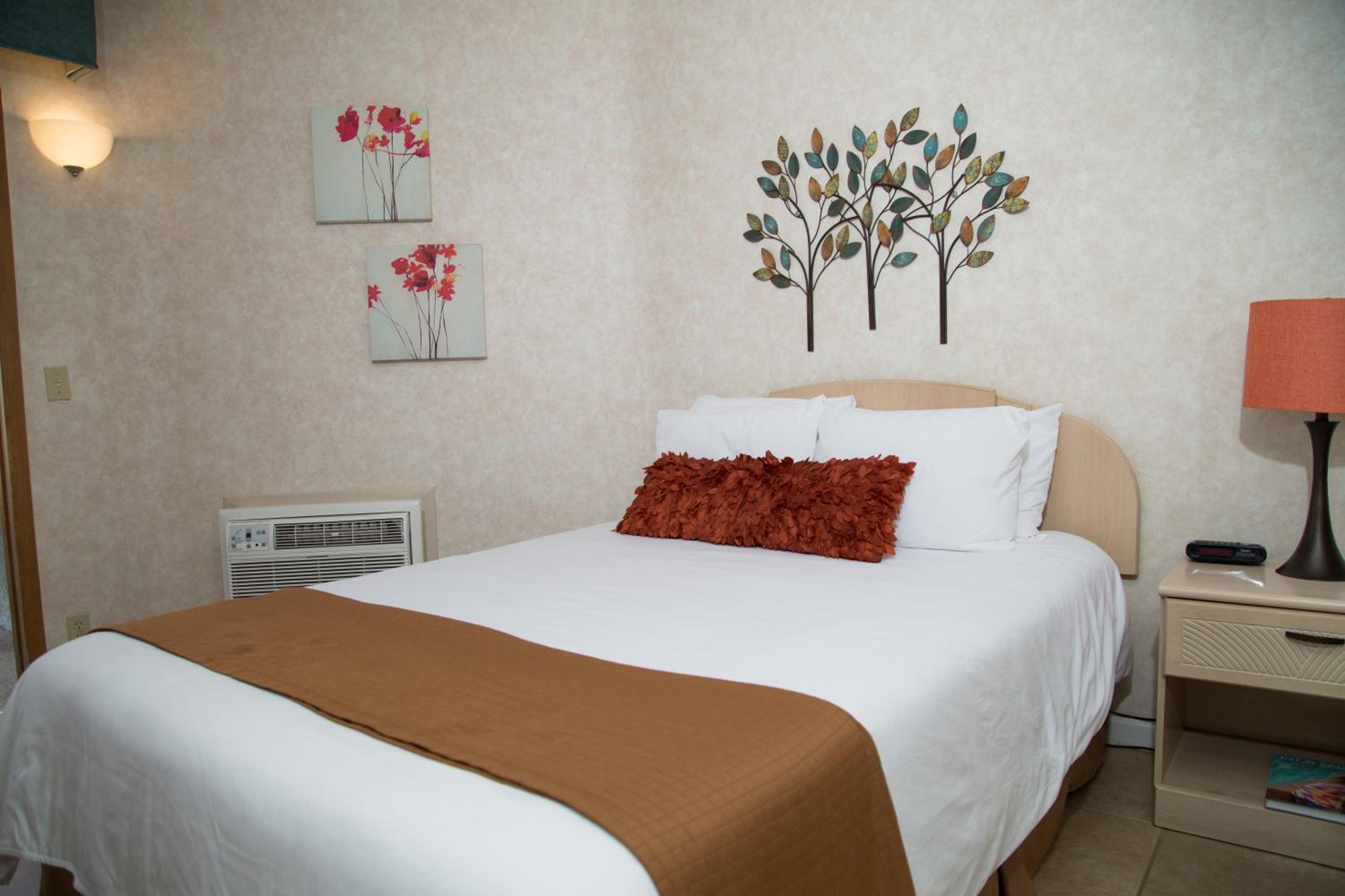 Queen Room - Photo 8