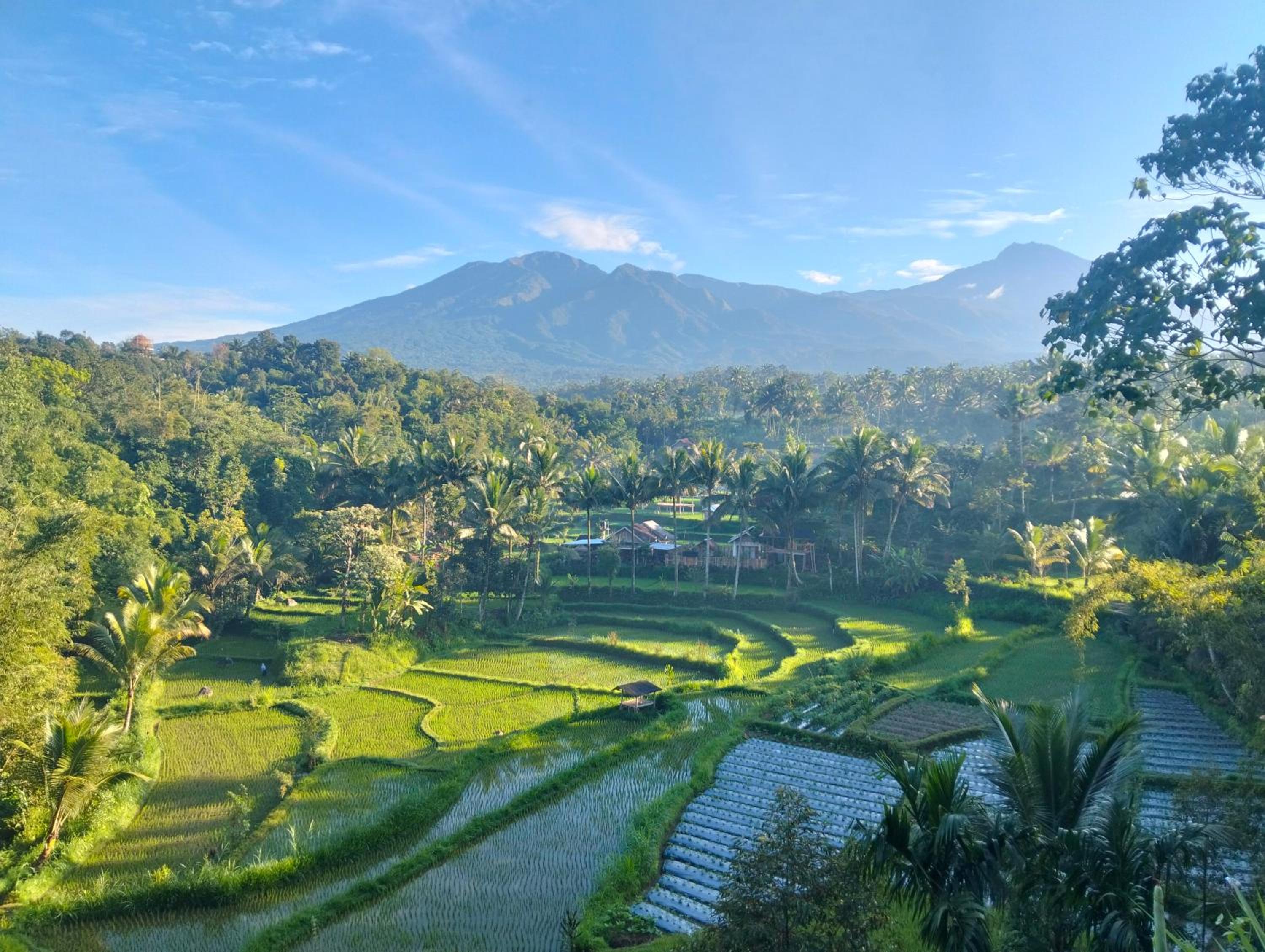 Double Room with Garden View