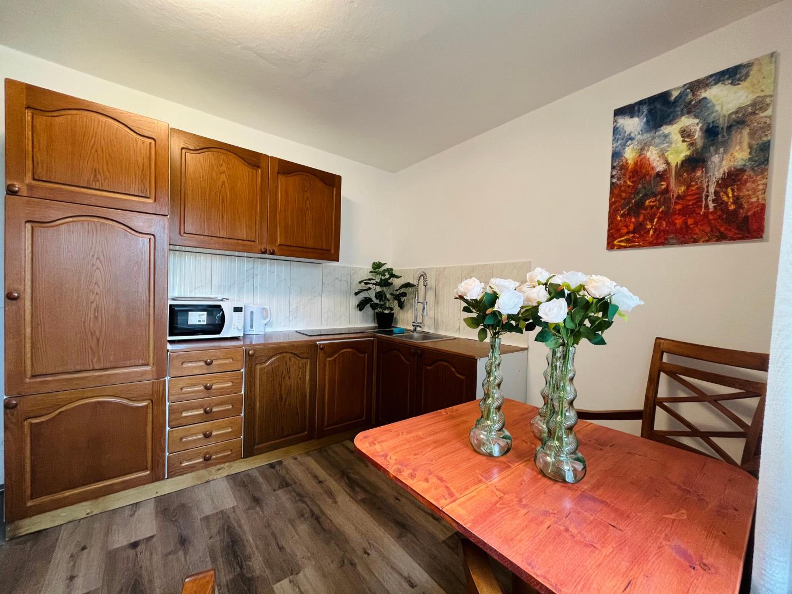 One-Bedroom Apartment with Terrace photo 1