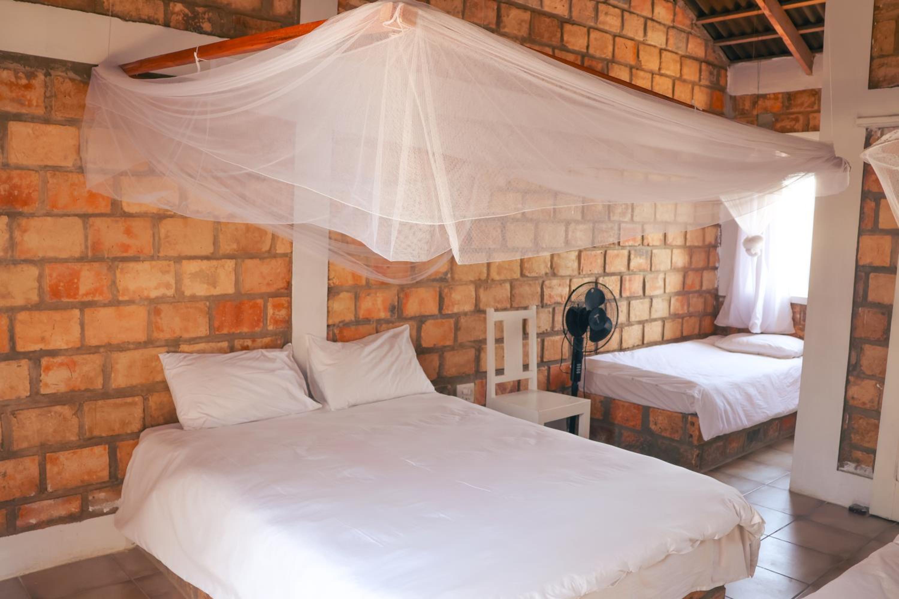Single Bed in Mixed Dormitory Room photo 1