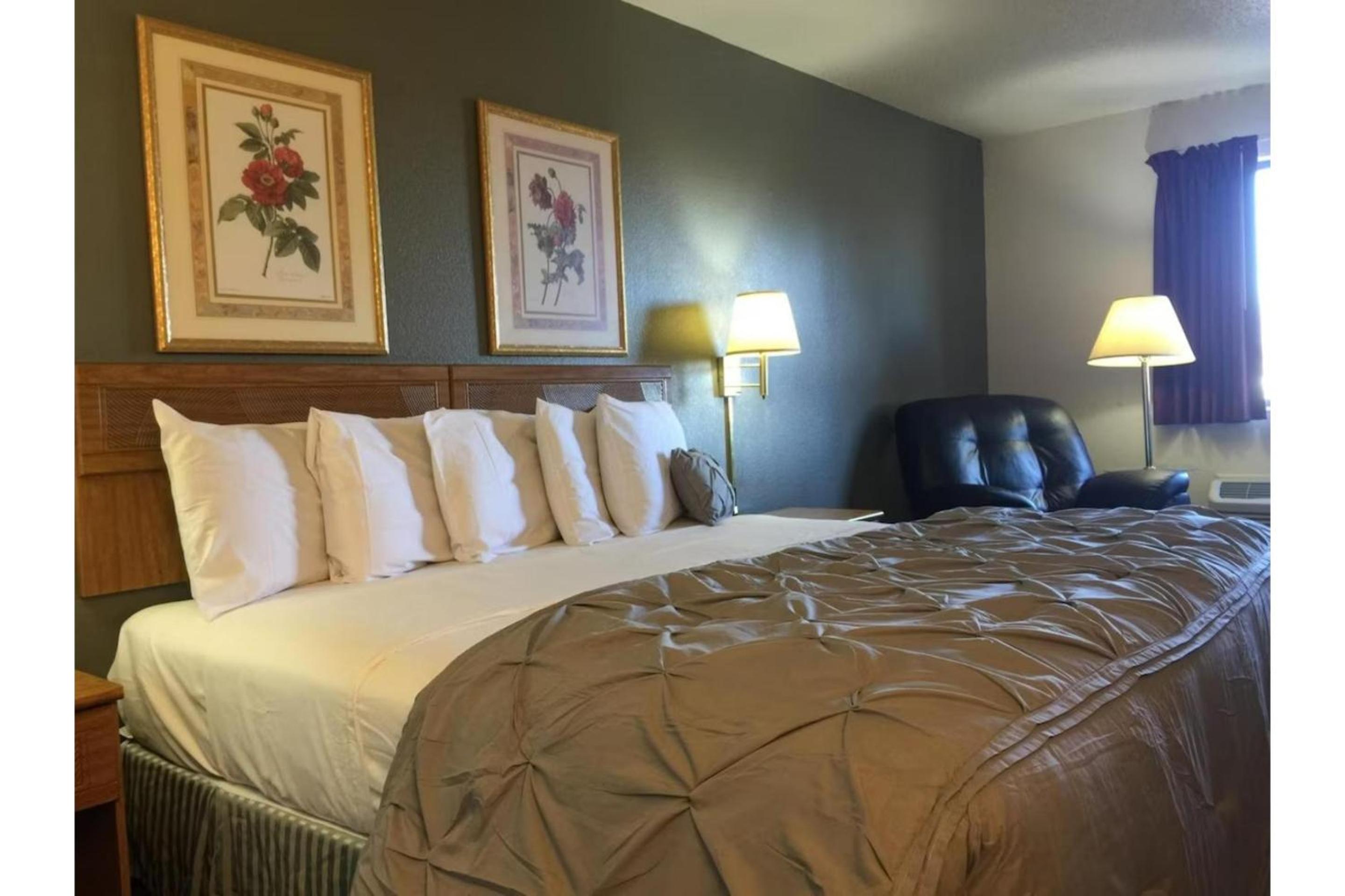 Suite King Bed Non Smoking