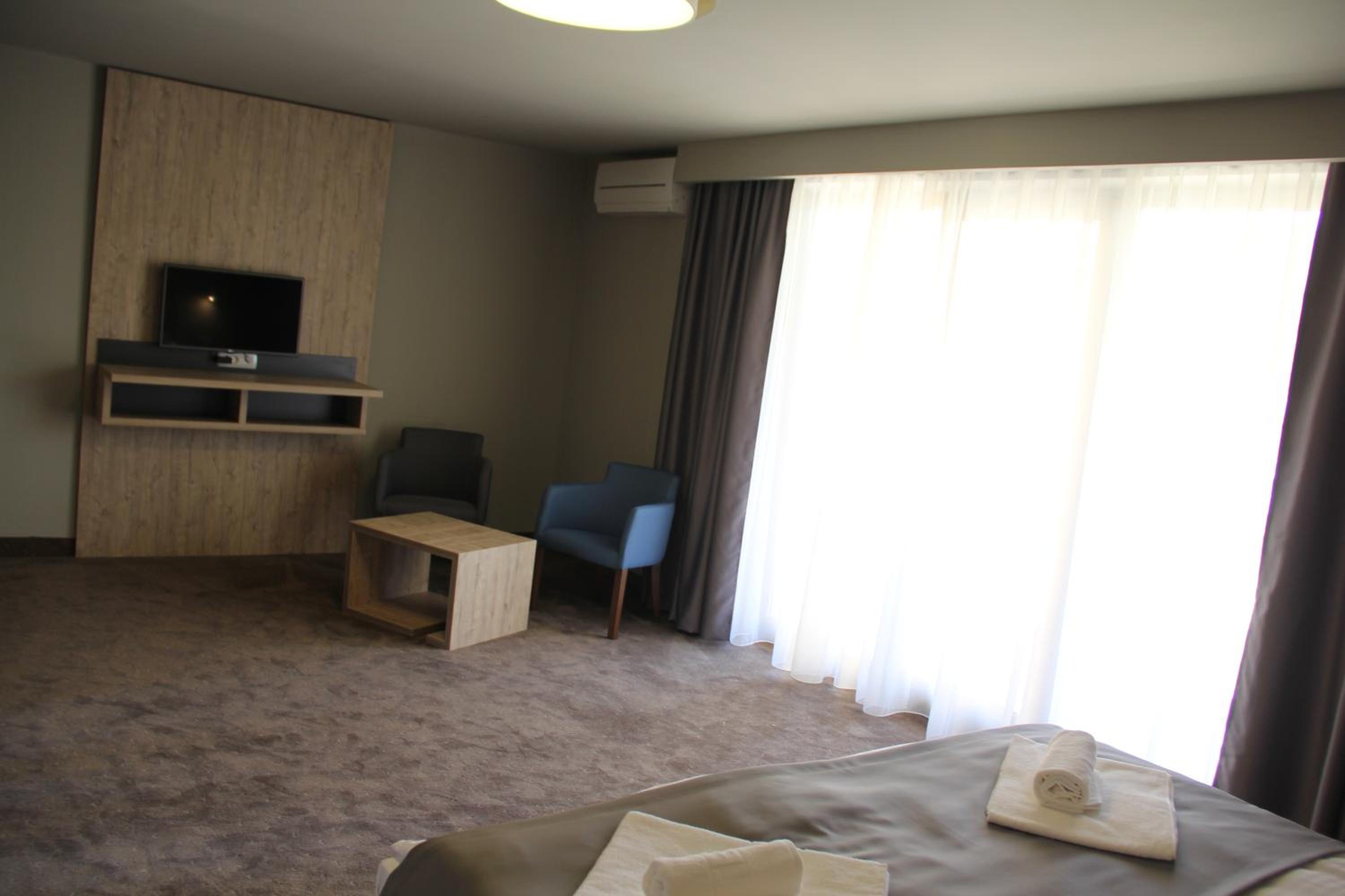 Deluxe One-Bedroom Apartment - Photo 7