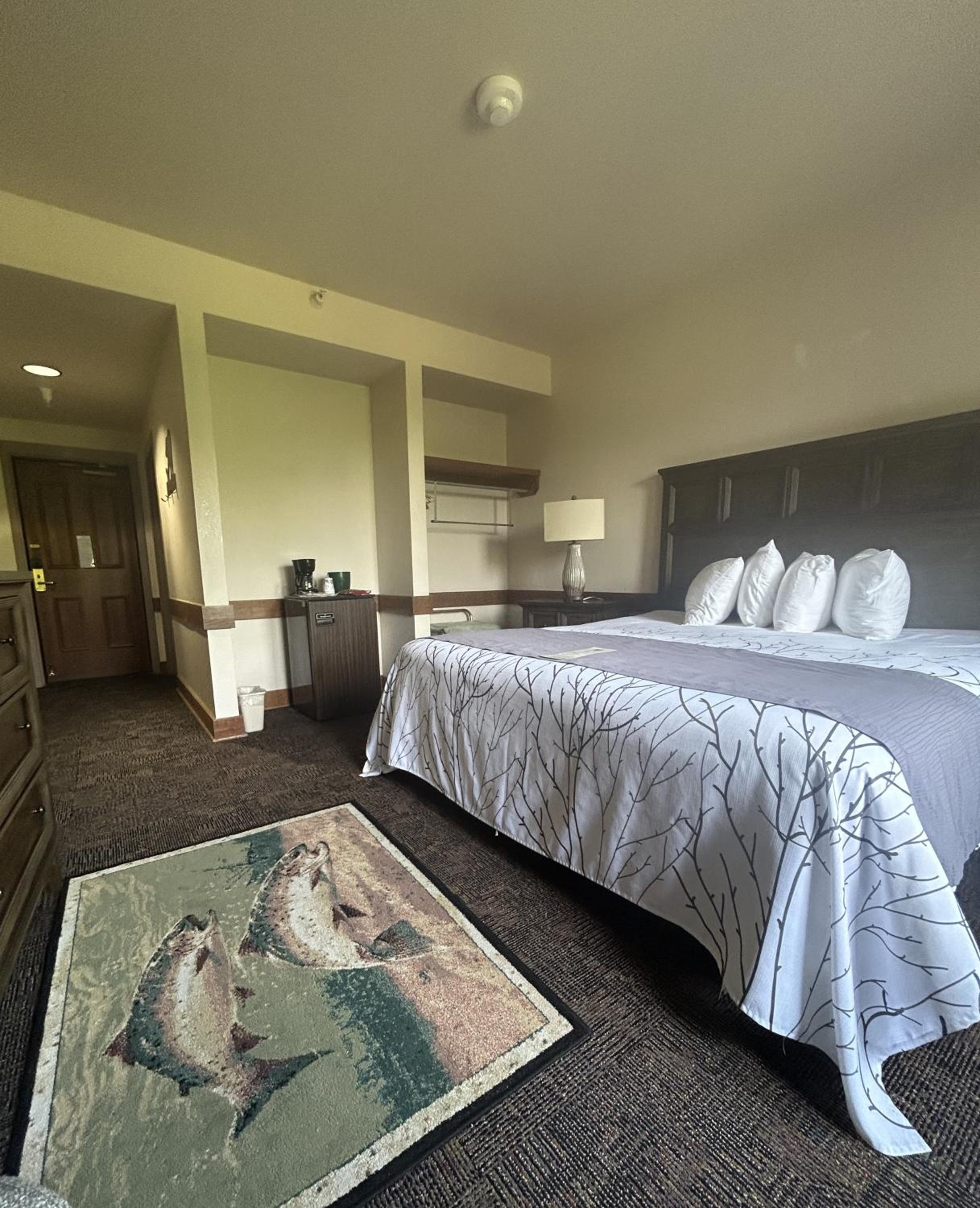 King Room photo 2