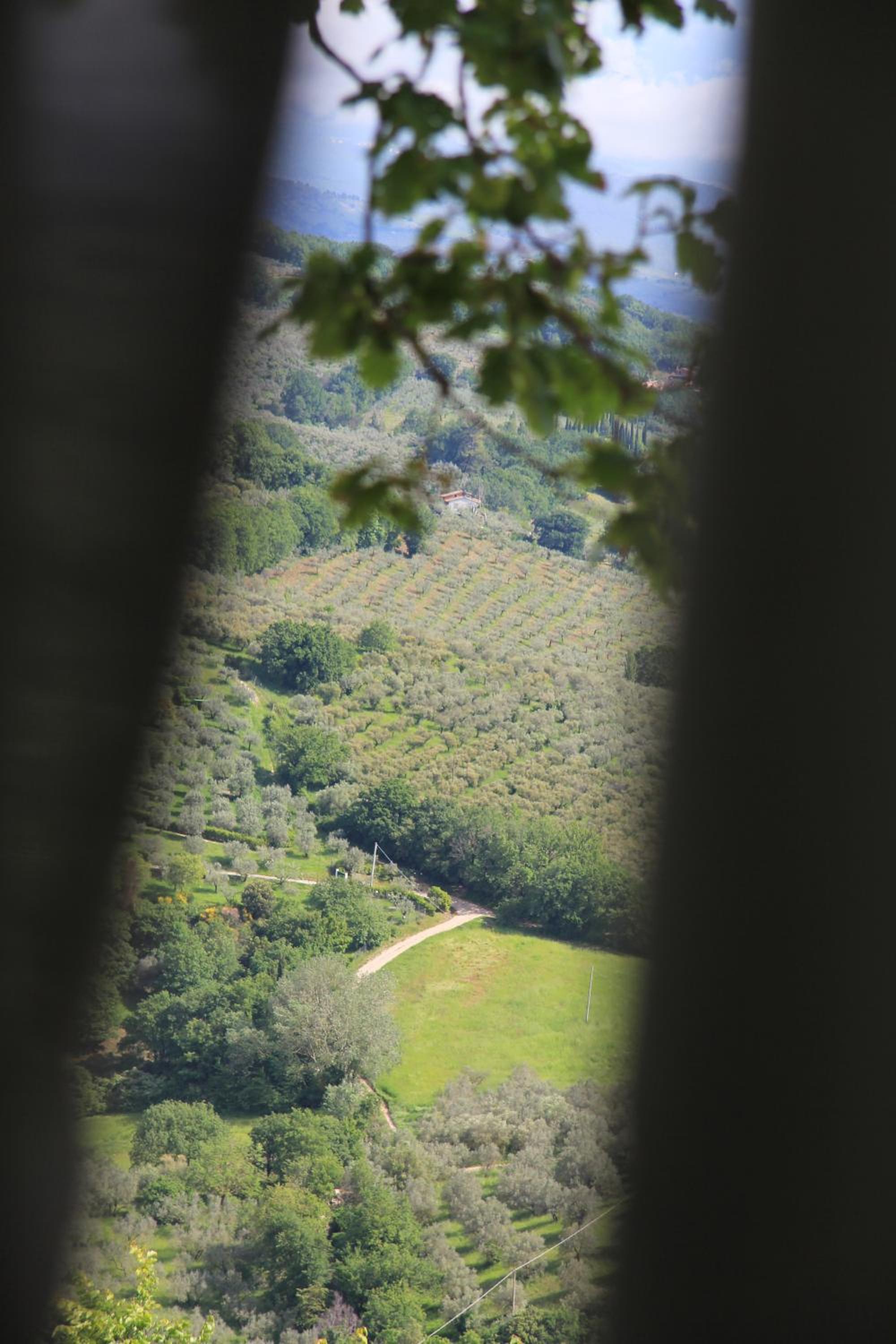 Pekko, Fotografia 9
