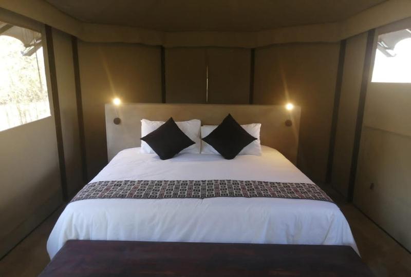 Tent photo 3