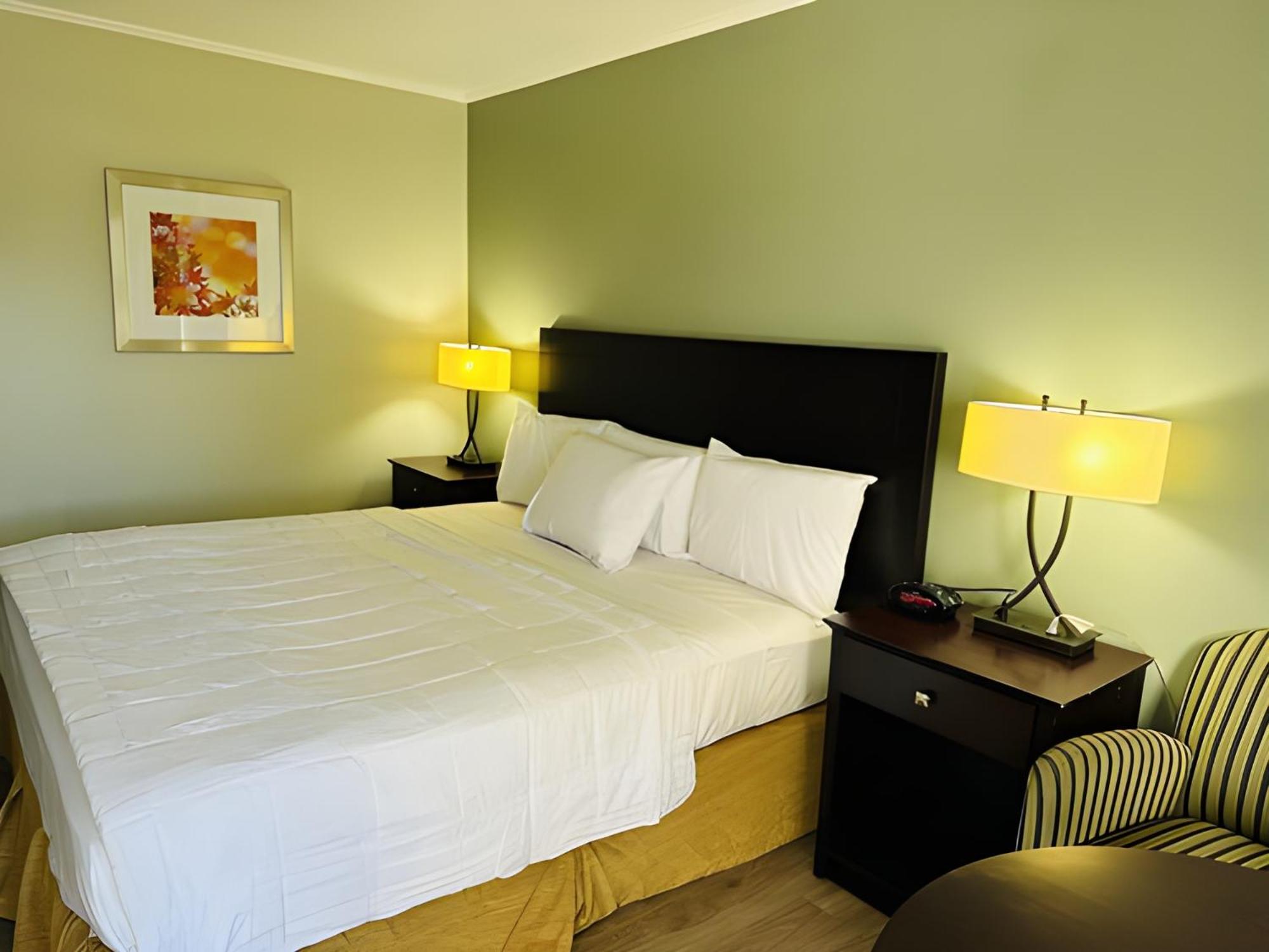 King Room photo 1