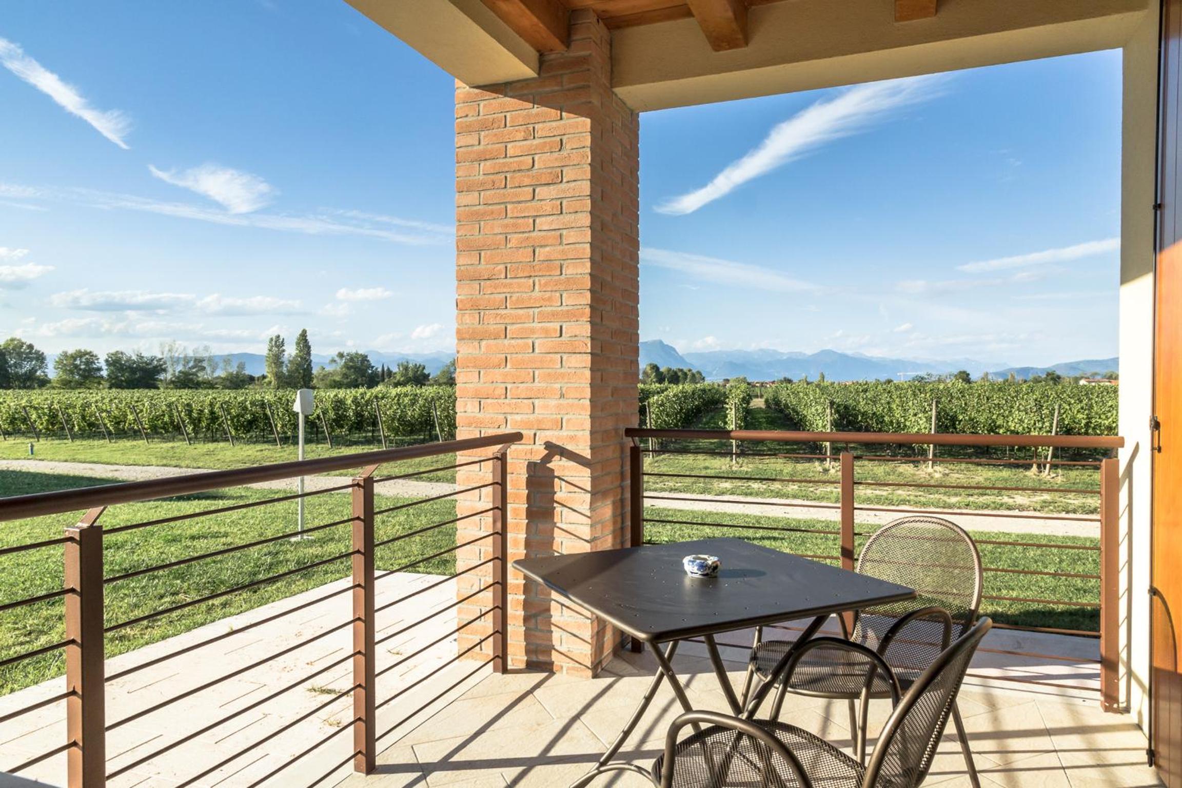 Studio with Terrace photo 2